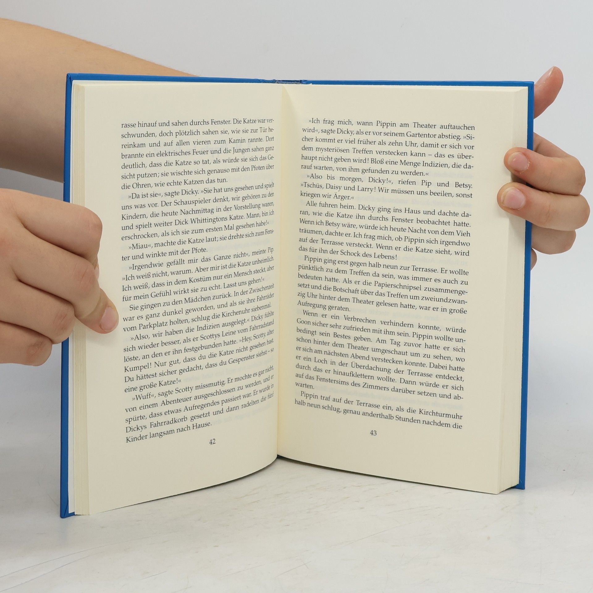 Enid Blyton Geheimnis-Serie 7