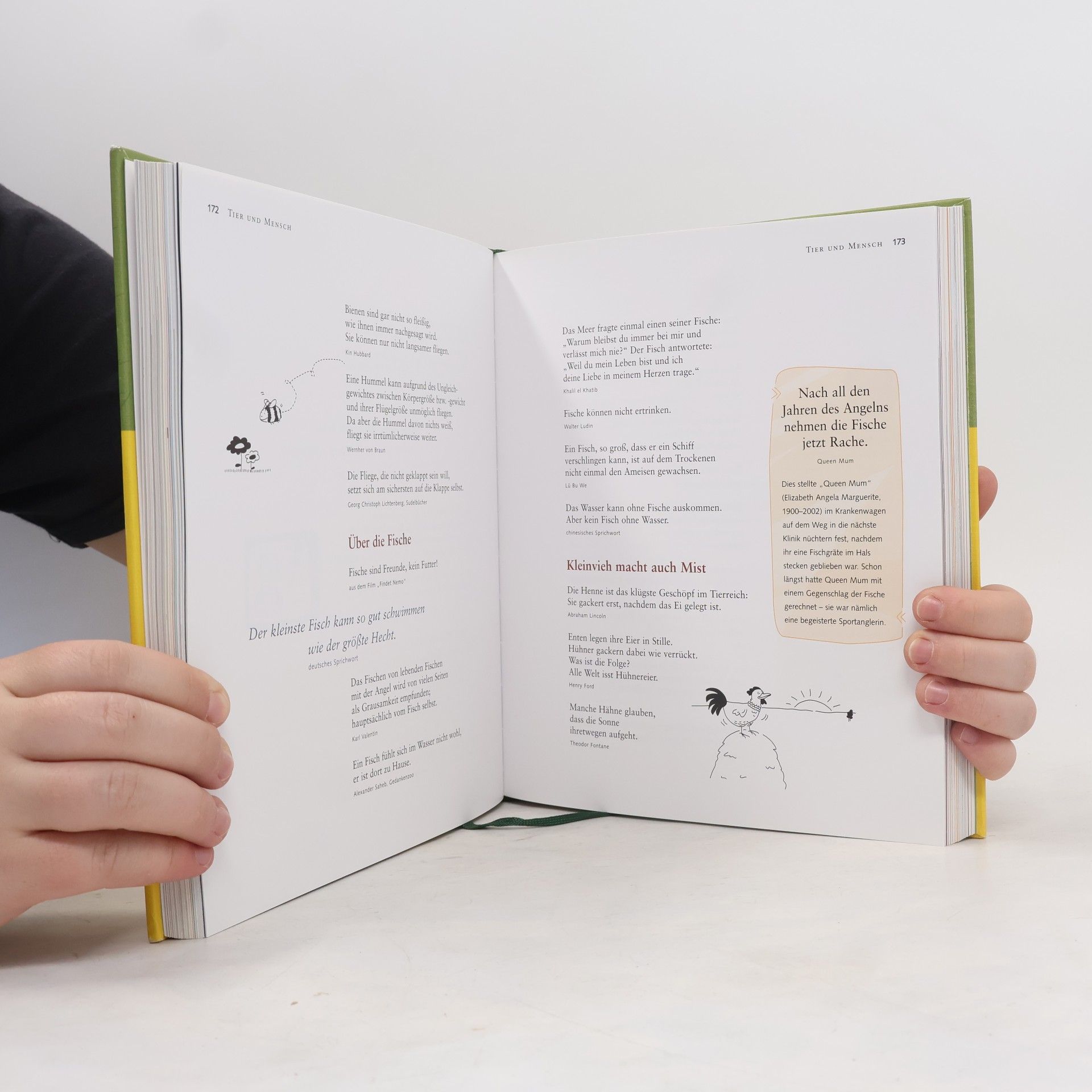 Autores varios Das große Buch der Lebensweisheiten