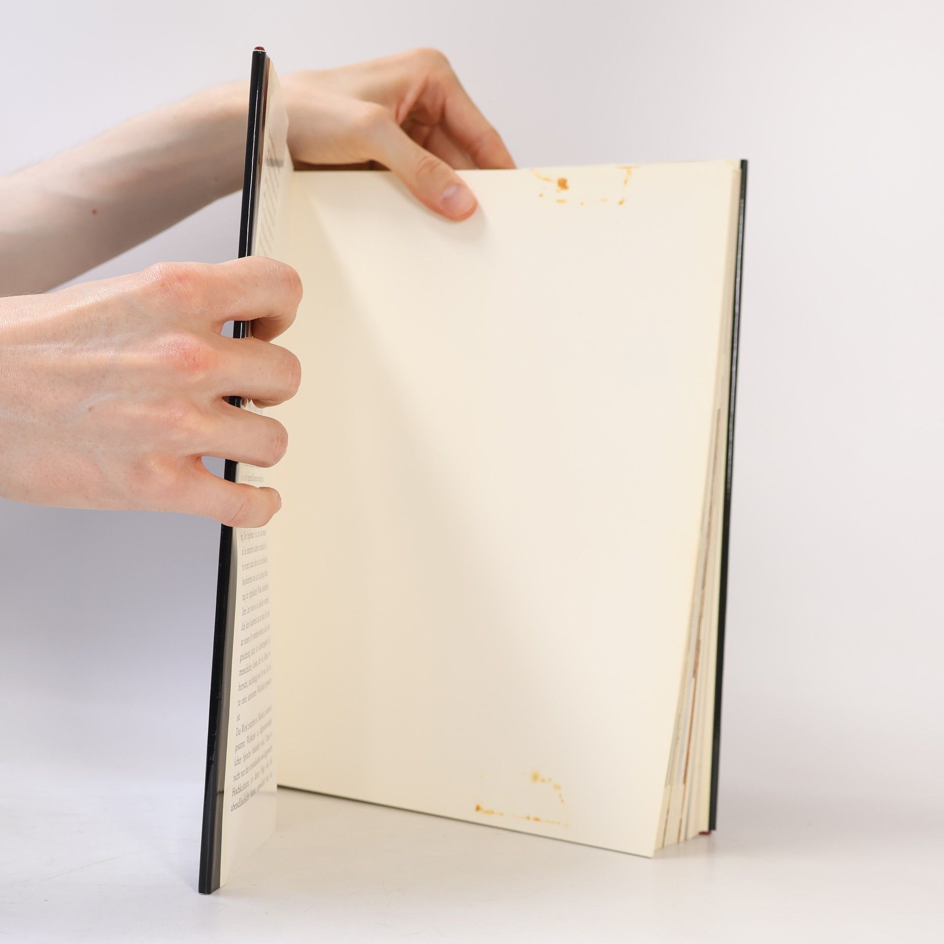 Autorenkollektiv Holles Kunstgeschichte I.