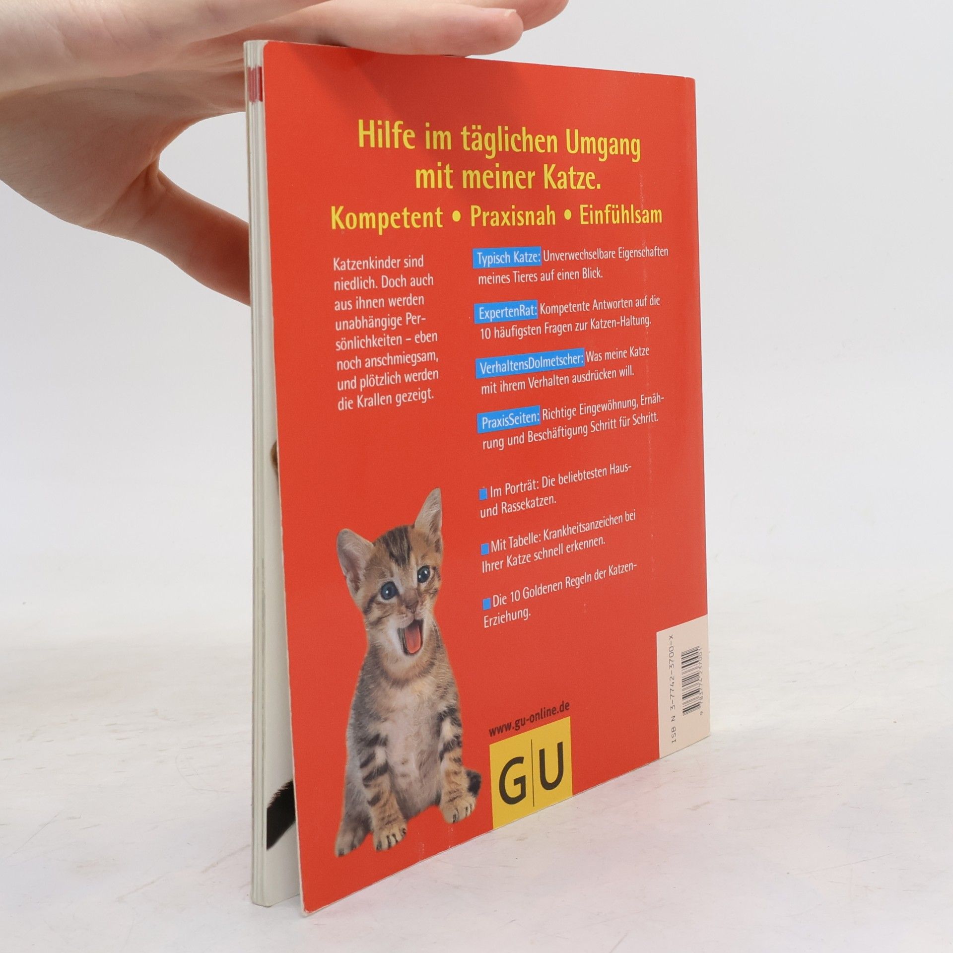 Katrin Behrend Katzen