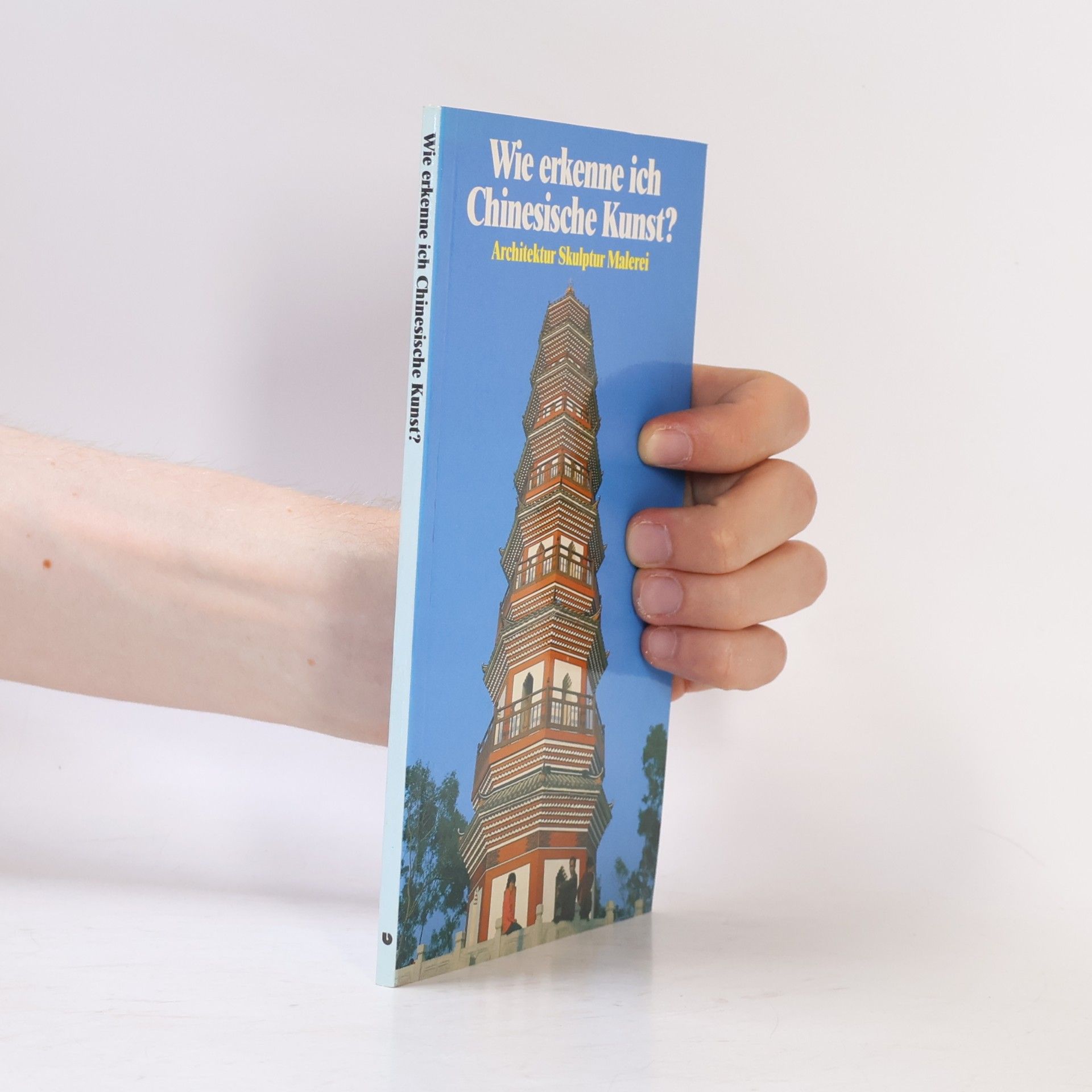 Franca Bedin Wie erkenne ich chinesische Kunst?