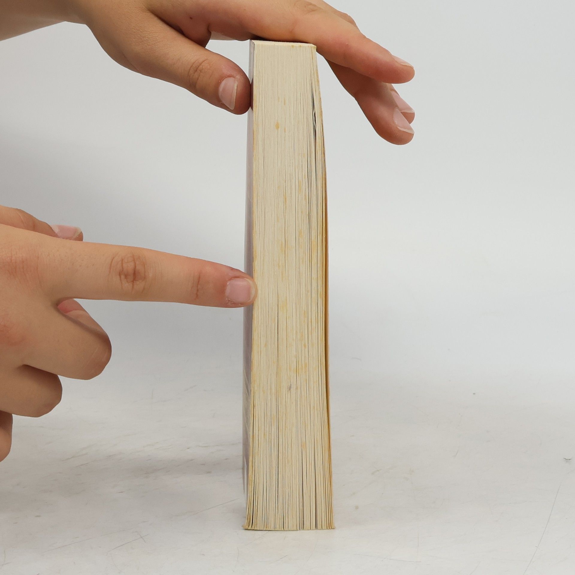 Guillaume Prévost Das Buch der Zeit