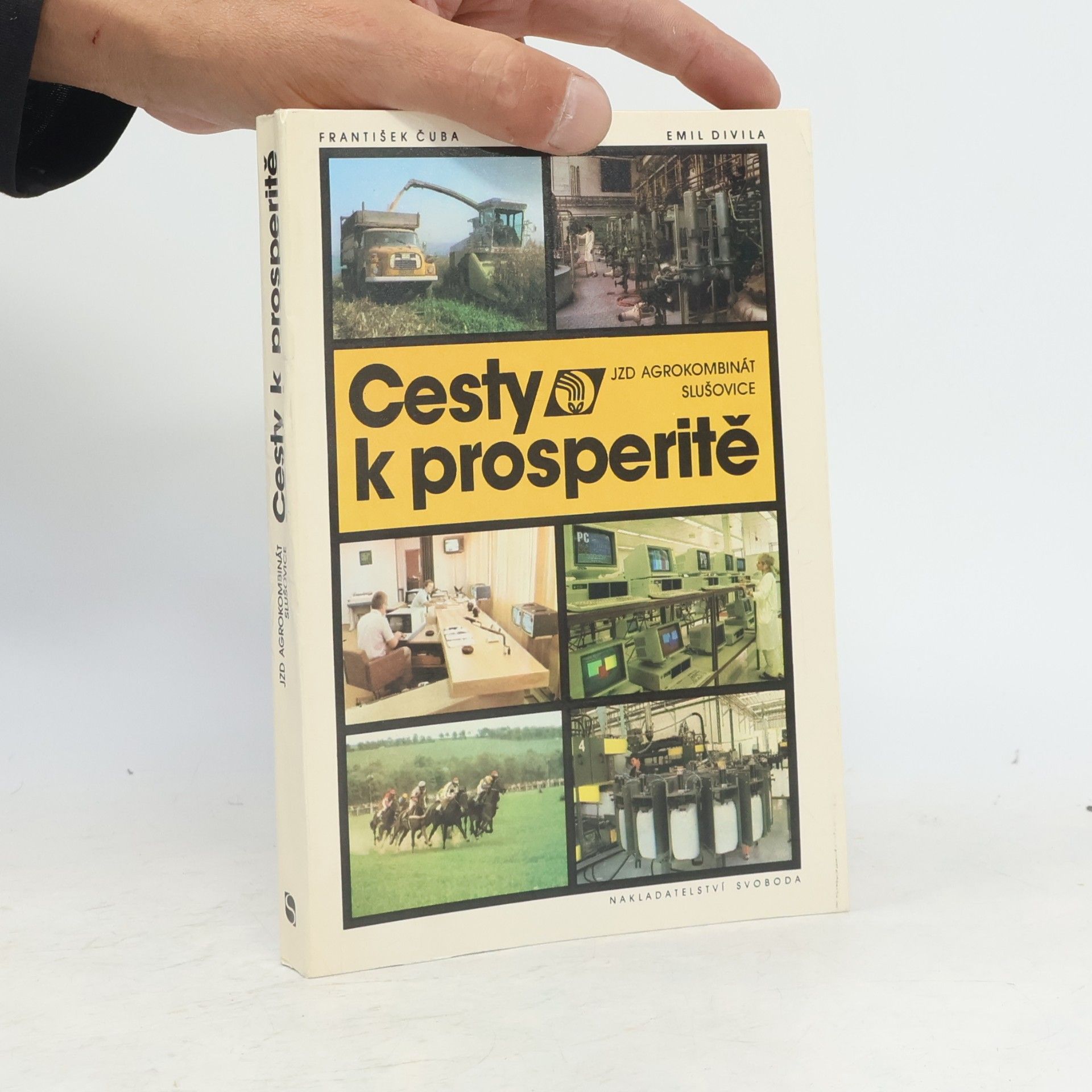 Cesty k prosperitě