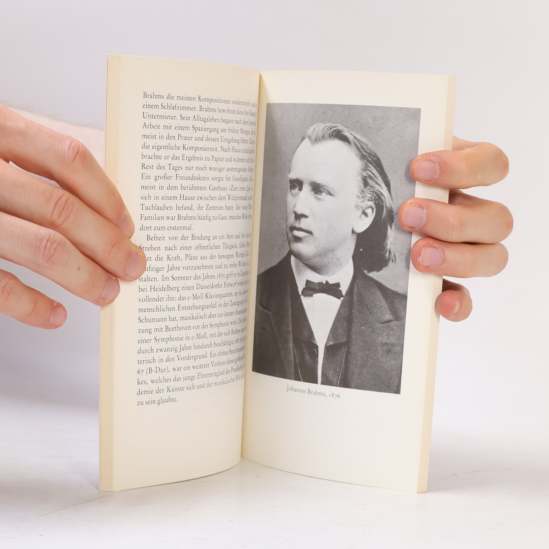Franz Grasberger Das kleine Brahms-Buch