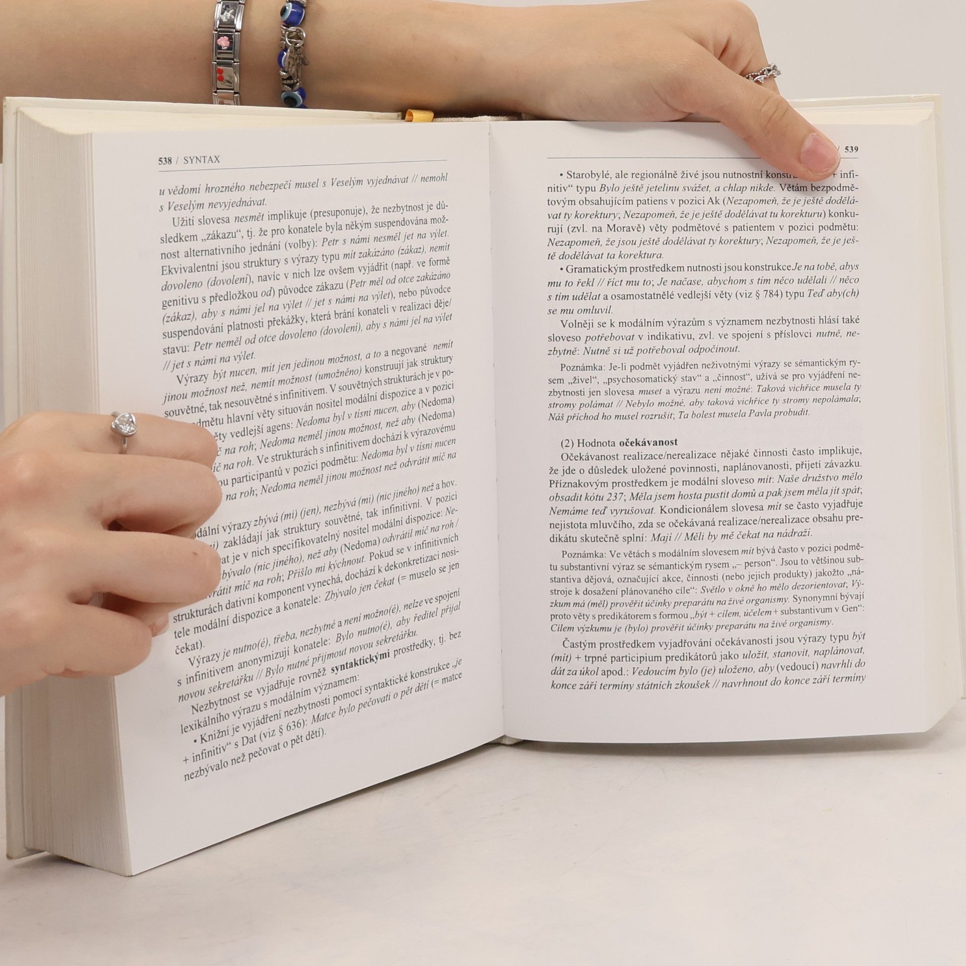 Petr Karlík Příruční mluvnice češtiny