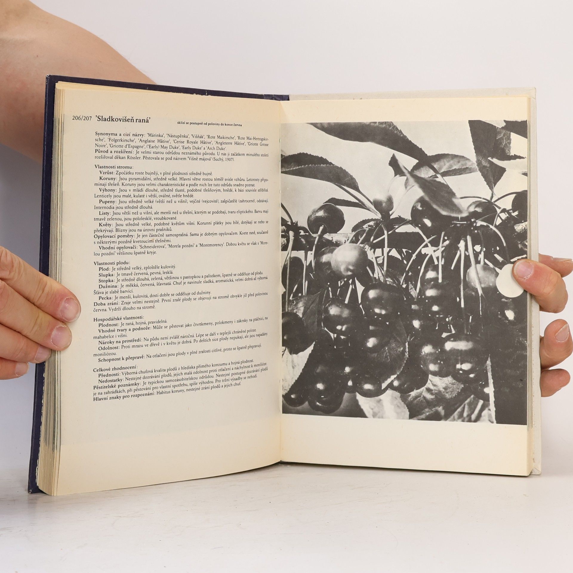 Antonín Dvořák Atlas odrůd ovoce