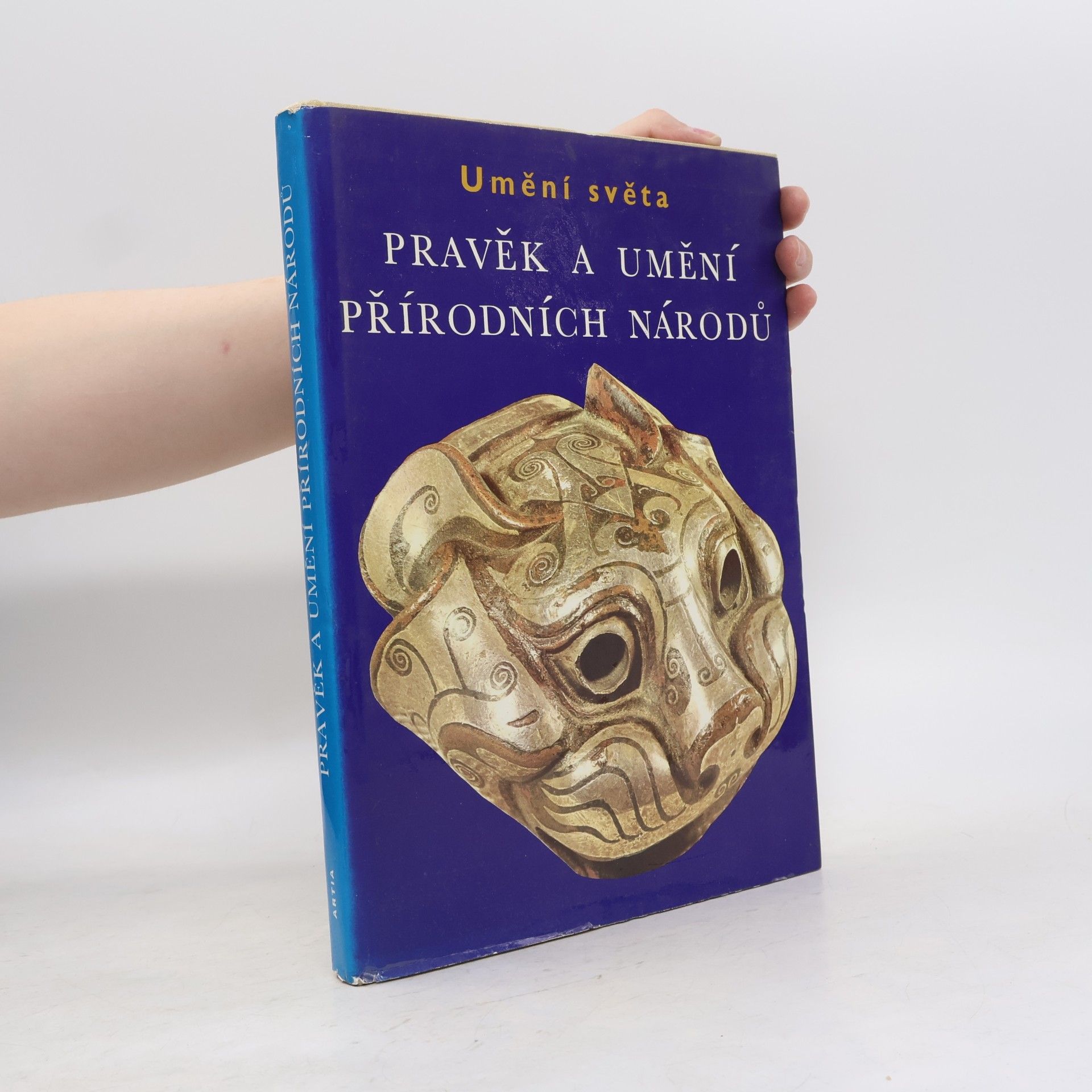 Collectif d'auteurs Pravěk a umění přírodních národů