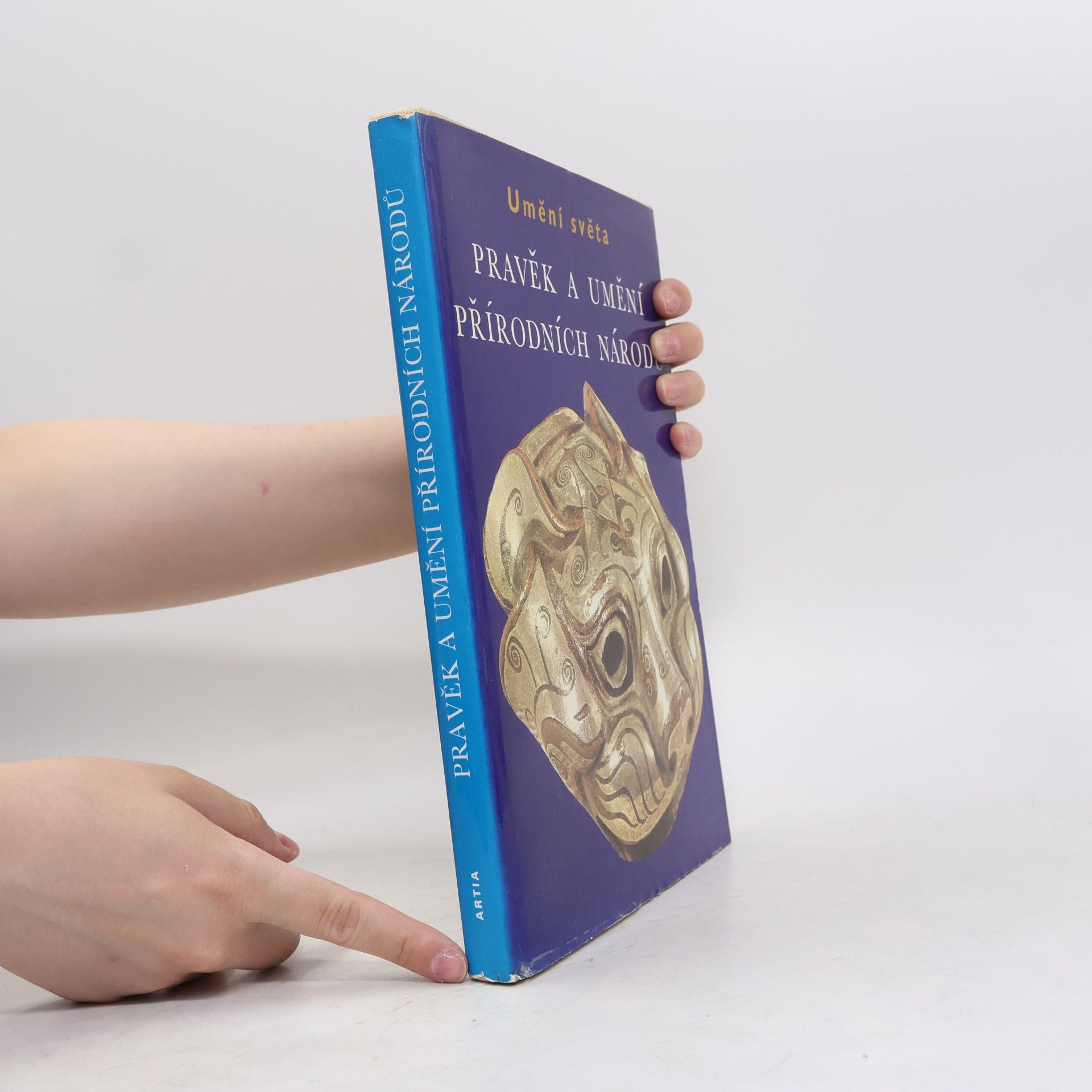 Collectif d'auteurs Pravěk a umění přírodních národů