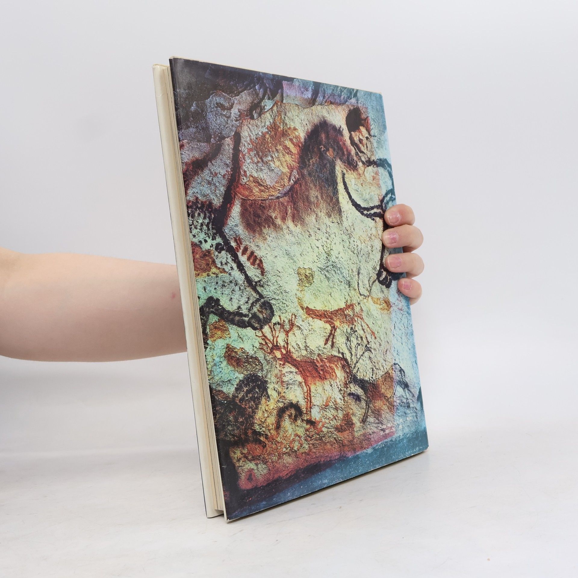 Collectif d'auteurs Pravěk a umění přírodních národů