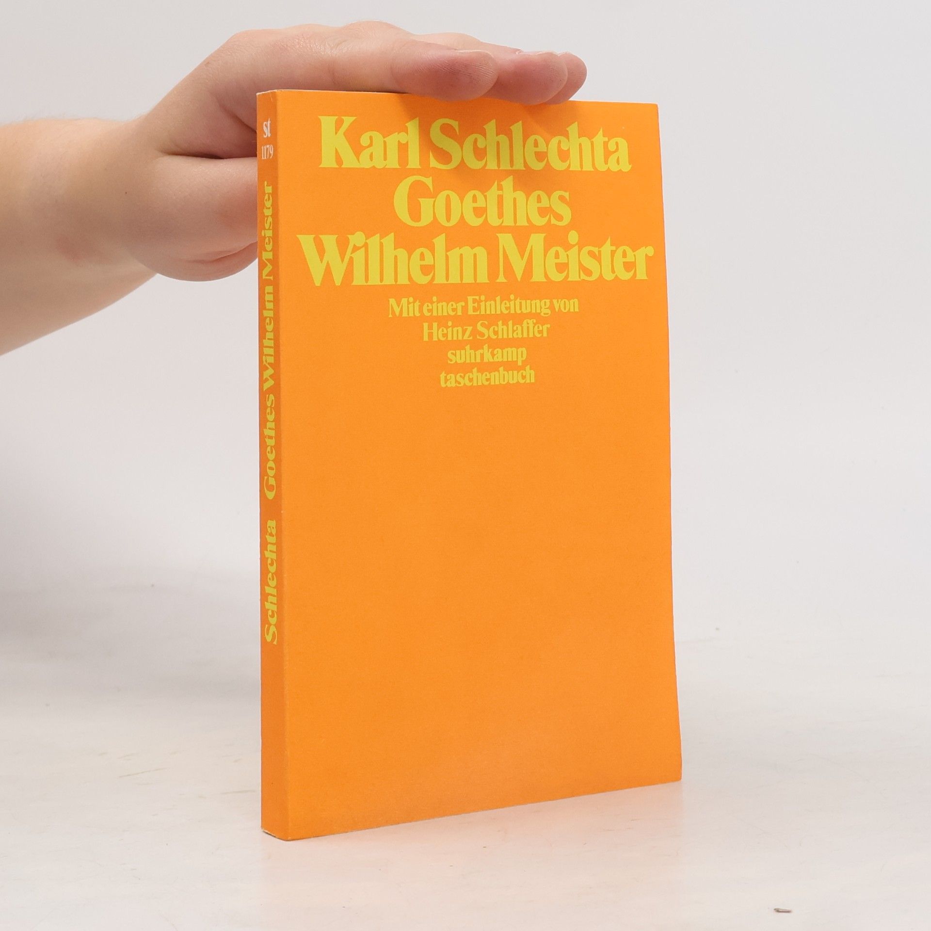 Goethes Wilhelm Meister