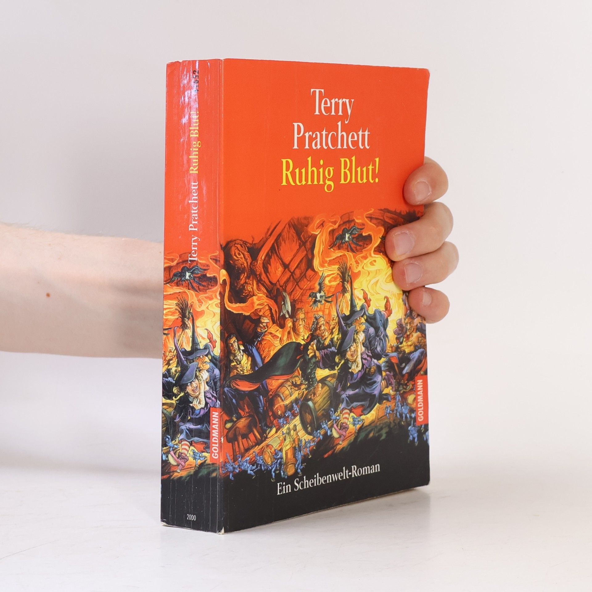 Terry Pratchett Ruhig Blut!