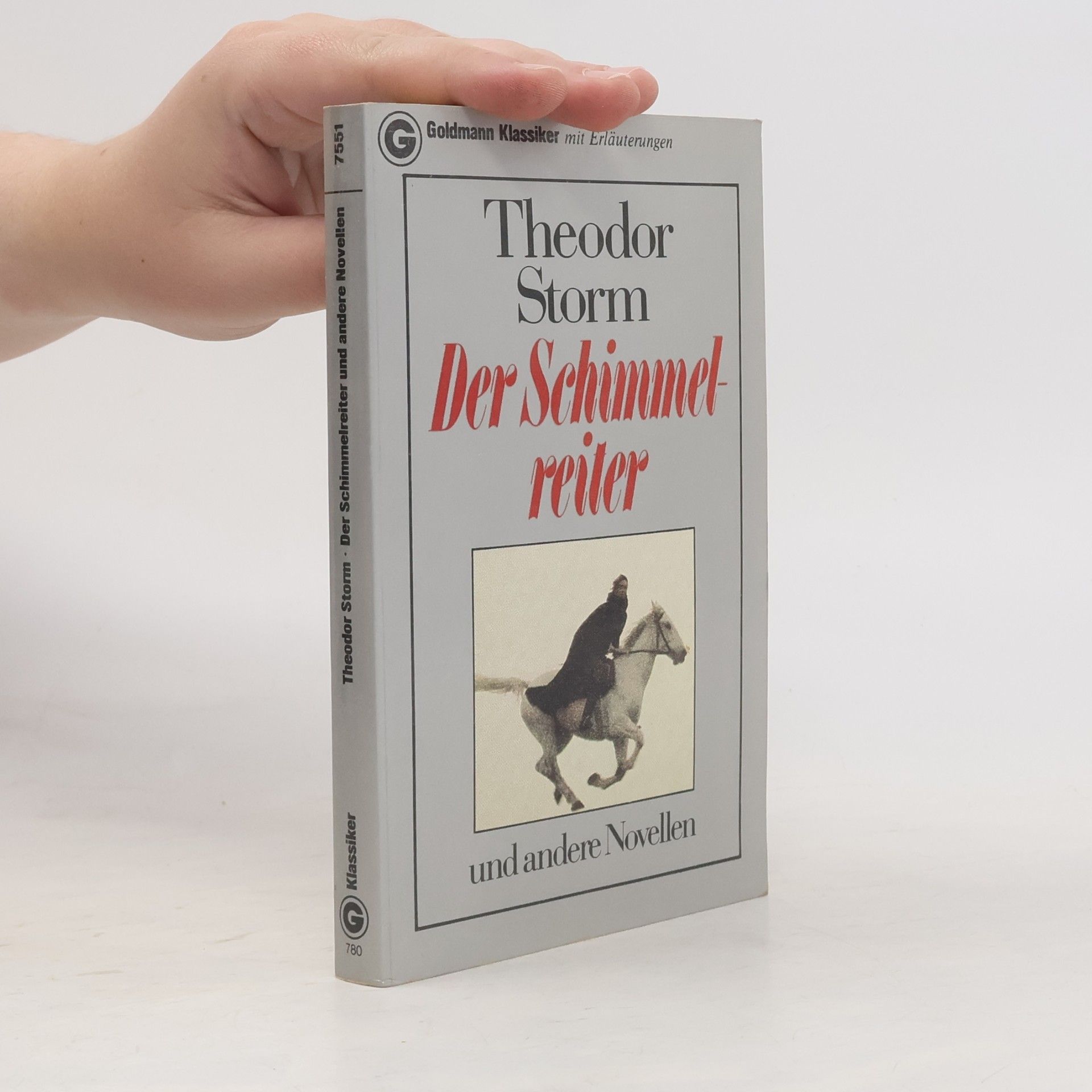 Theodor Storm Der Schimmelreiter und andere Novellen