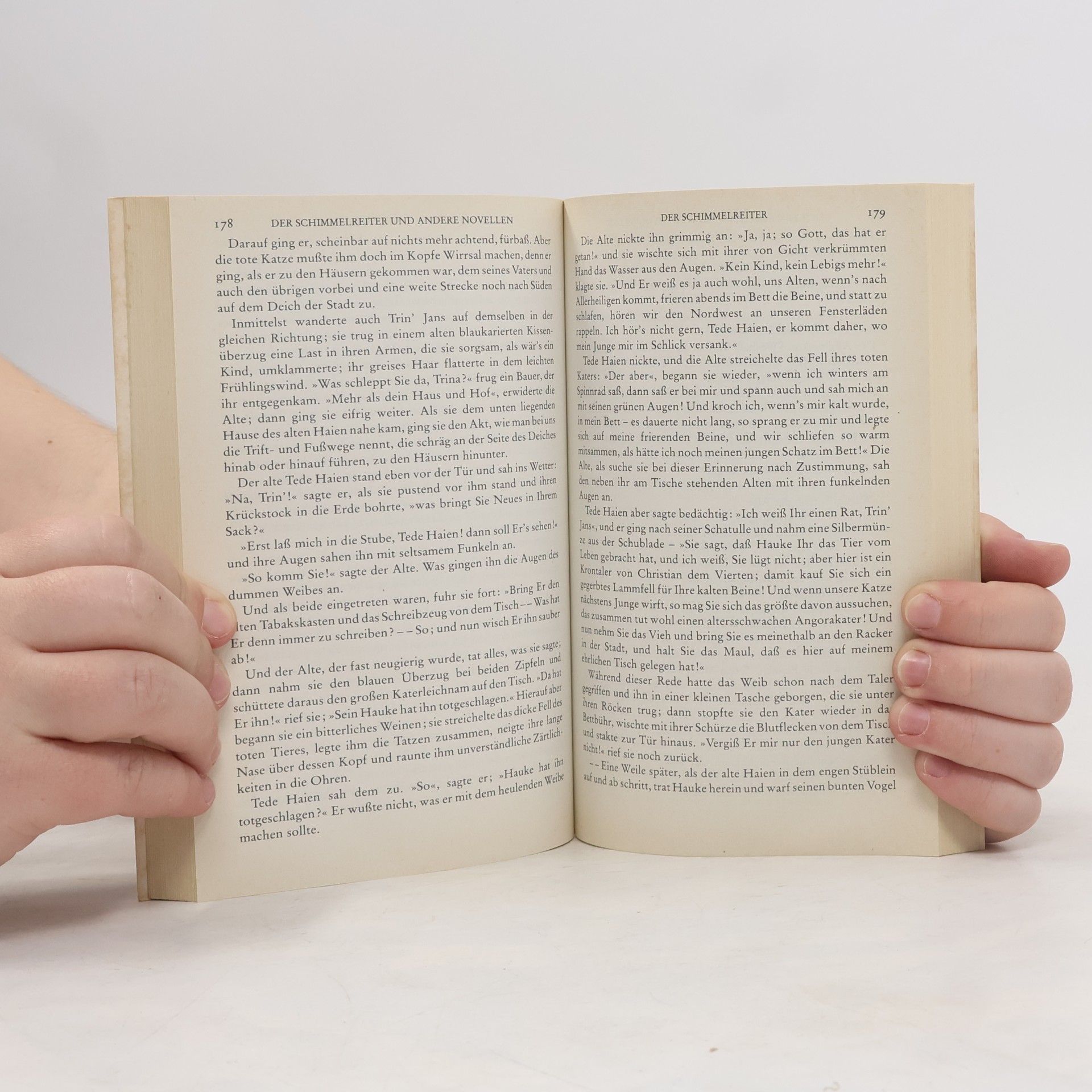 Theodor Storm Der Schimmelreiter und andere Novellen
