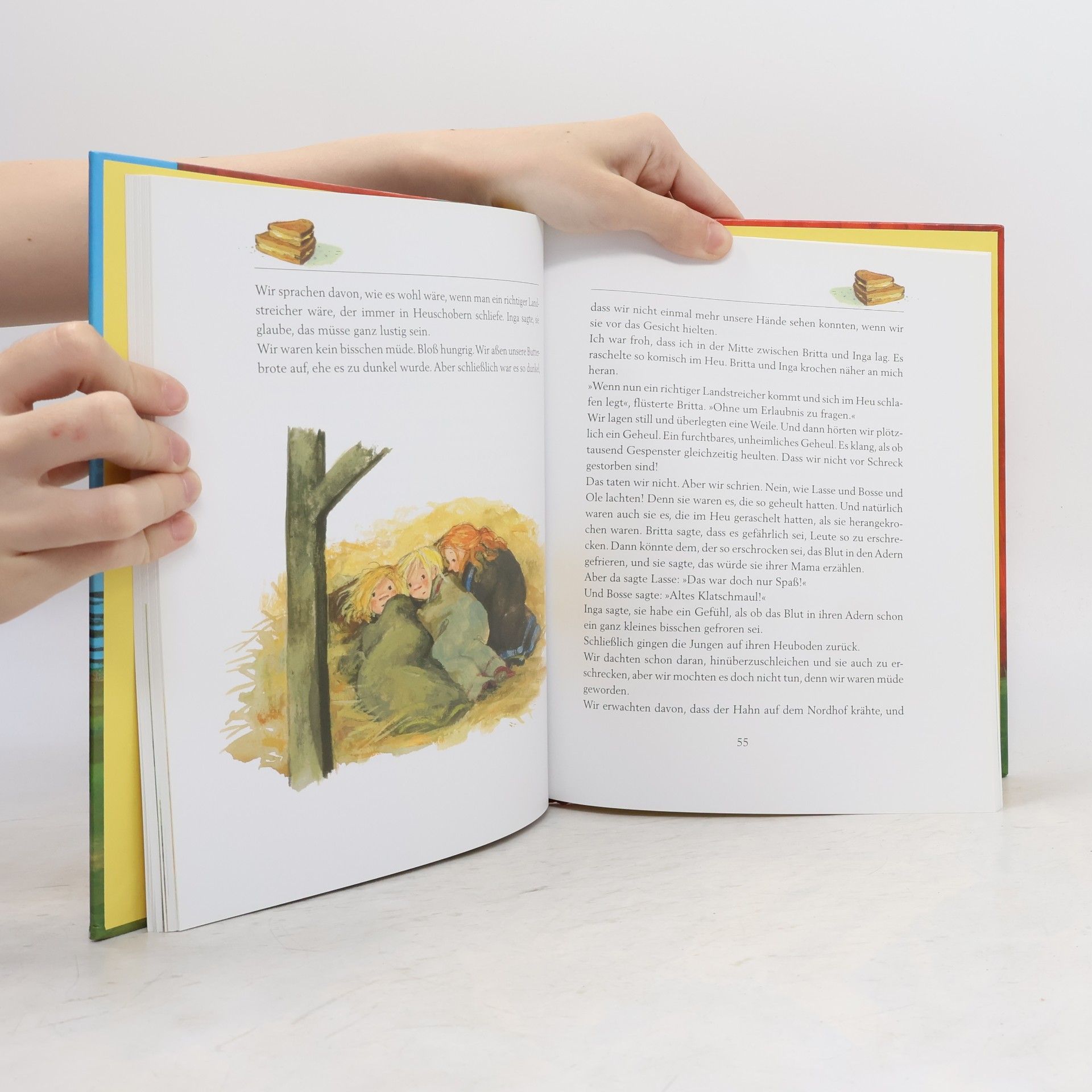 Astrid Lindgren Wir Kinder aus Bullerbü