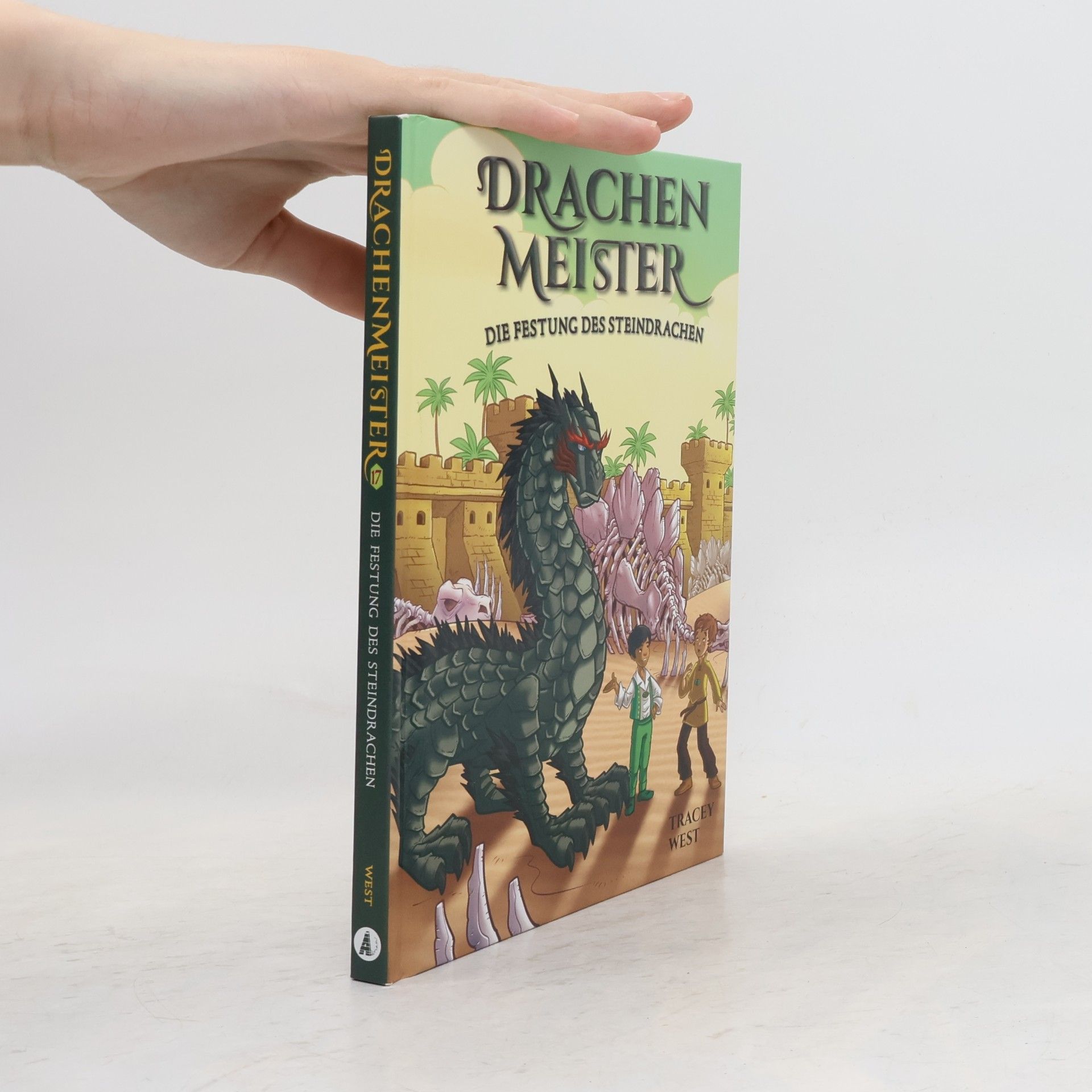 Tracey West Drachenmaster 17: Die Festung des Steindrachen
