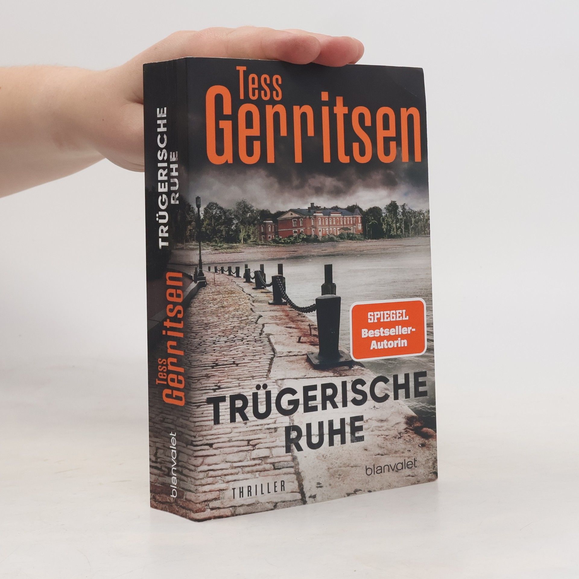 Tess Gerritsen Trügerische Ruhe