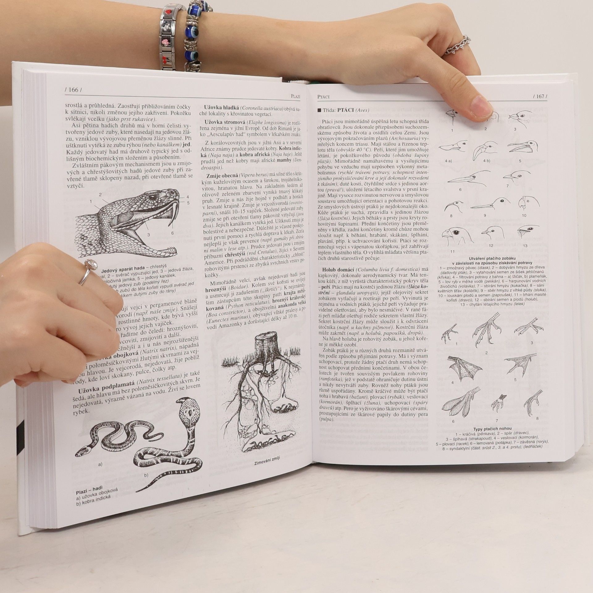 Jan Jelinek Biologie pro gymnázia