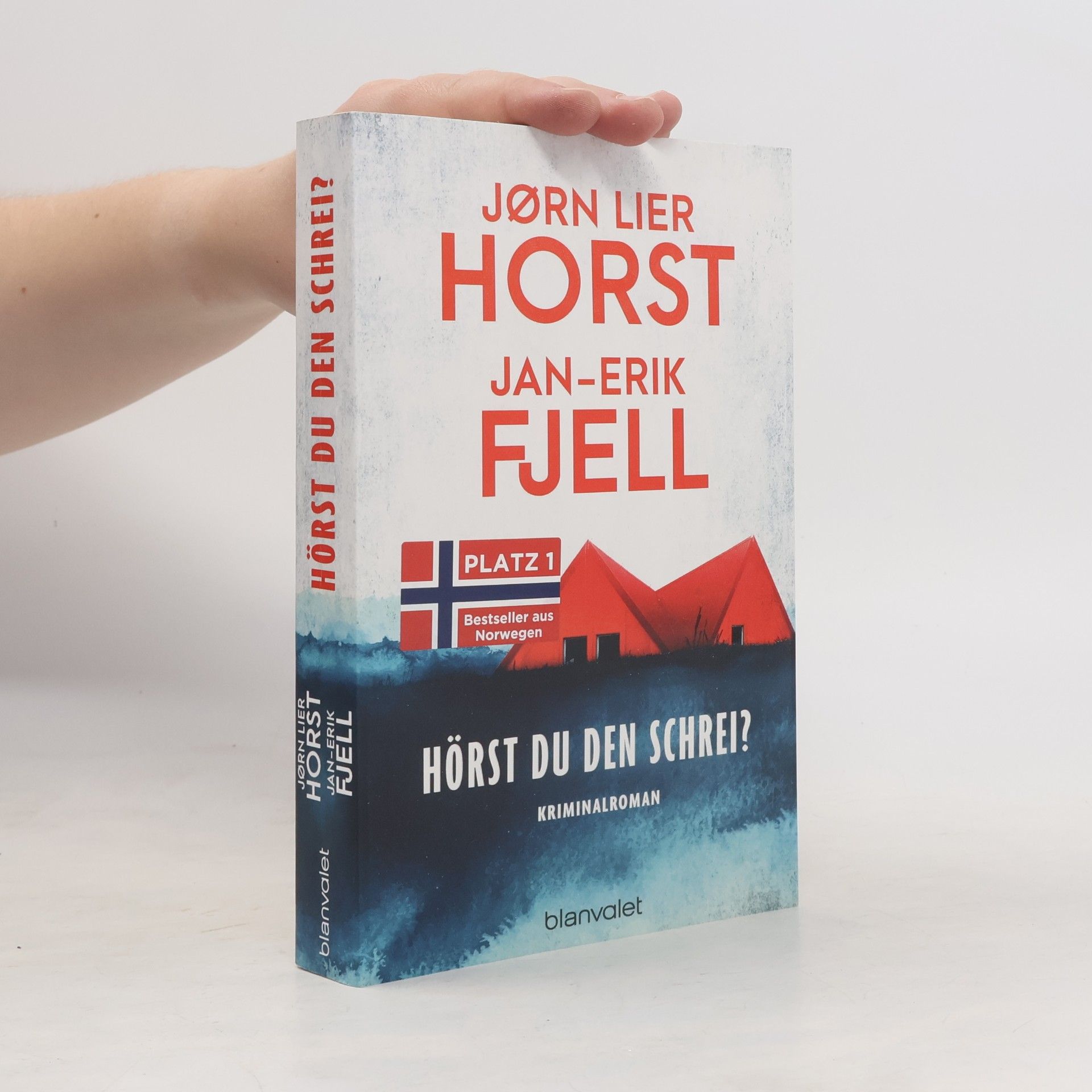 Jan-Erik Fjell Hörst du den Schrei?