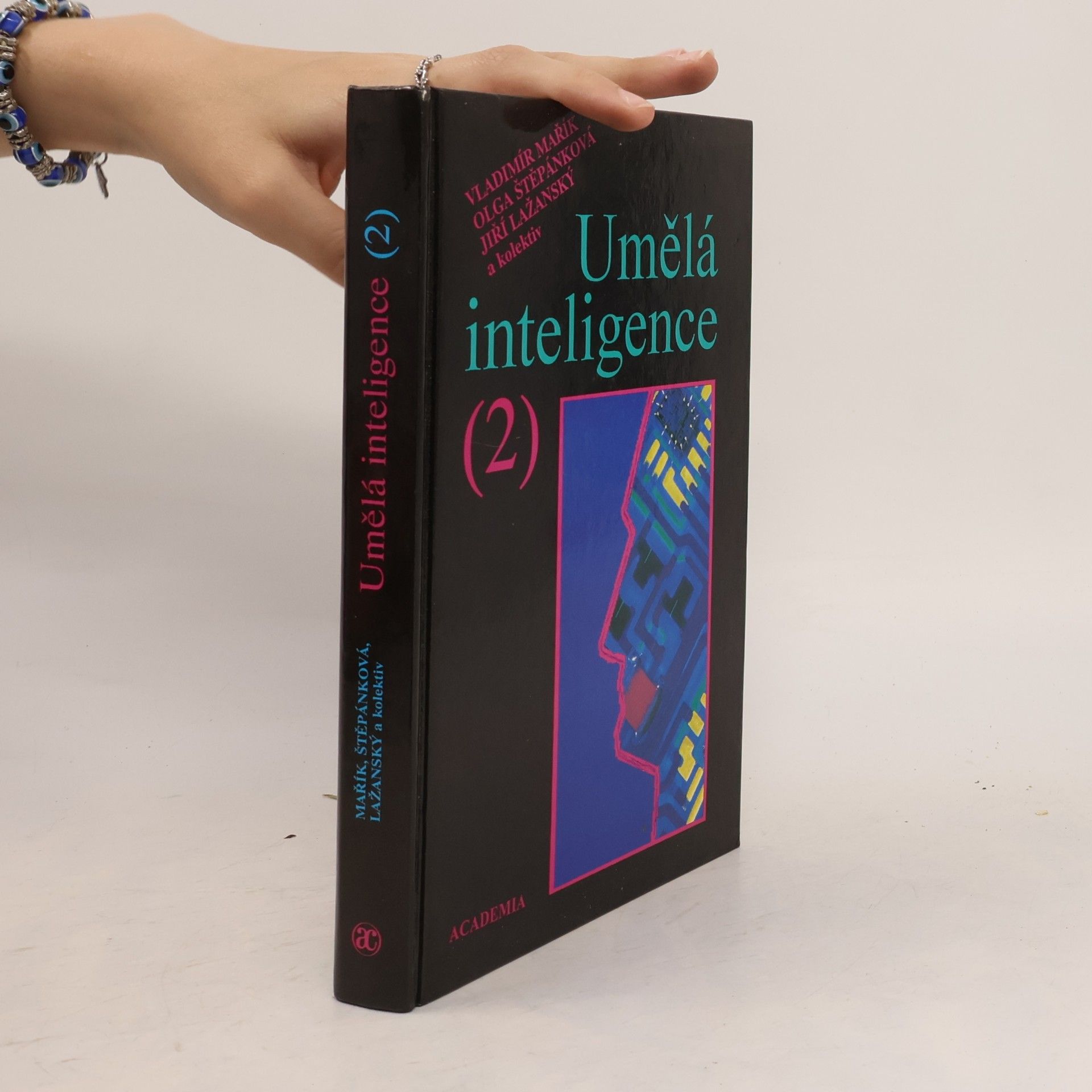 Umělá inteligence. 2. díl.