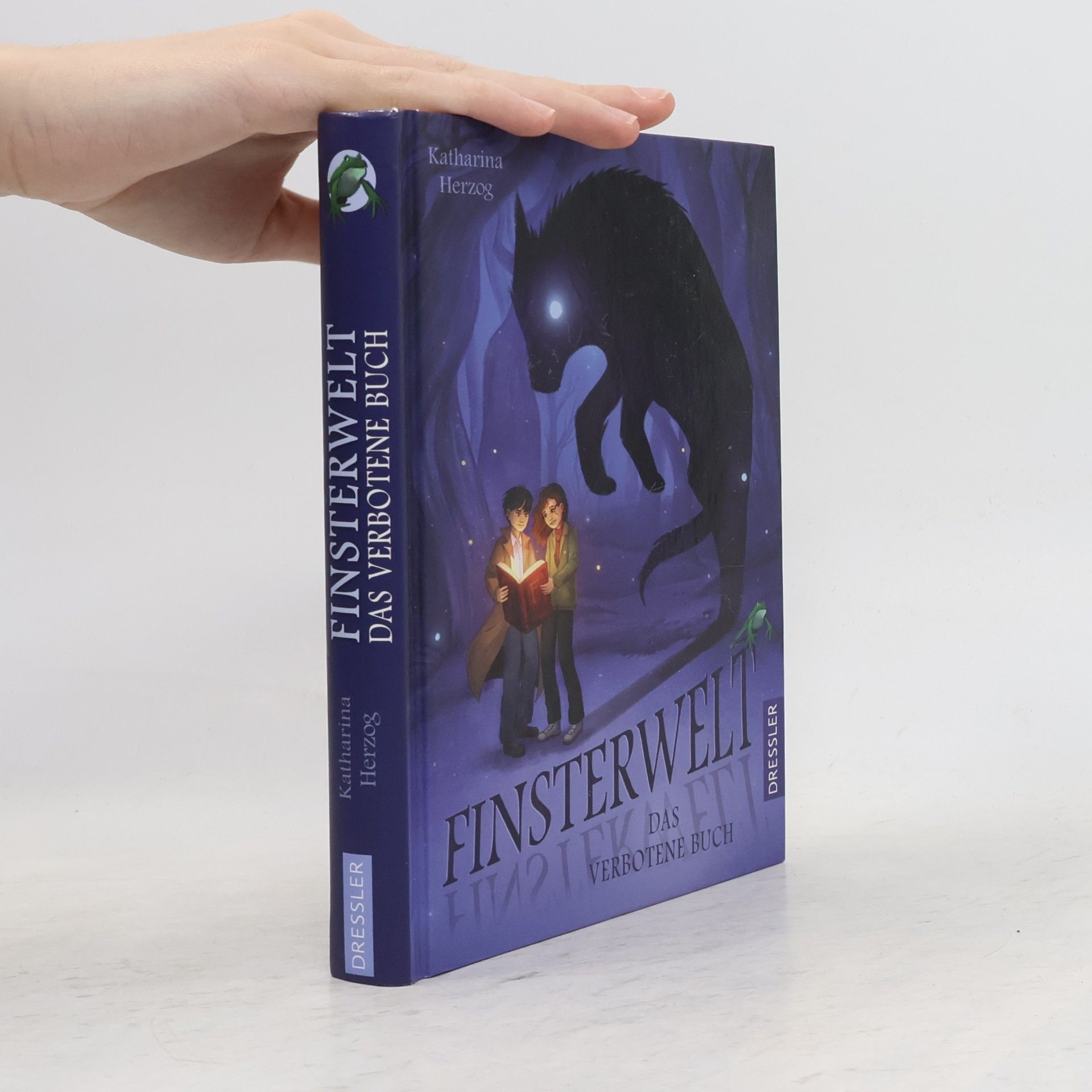 Irene-Katharina Herzog Finsterwelt - das verbotene Buch