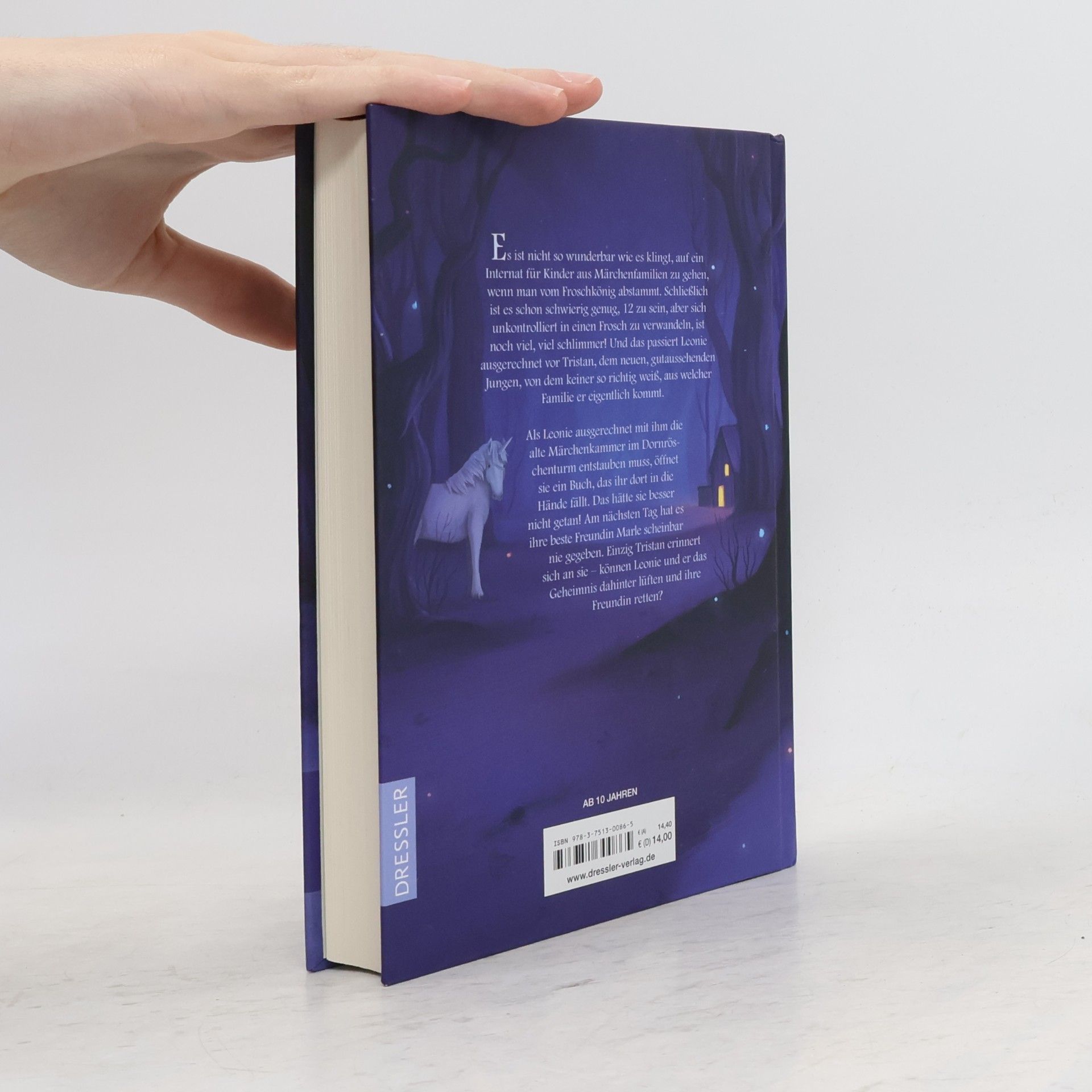 Katharina Herzog Finsterwelt - das verbotene Buch