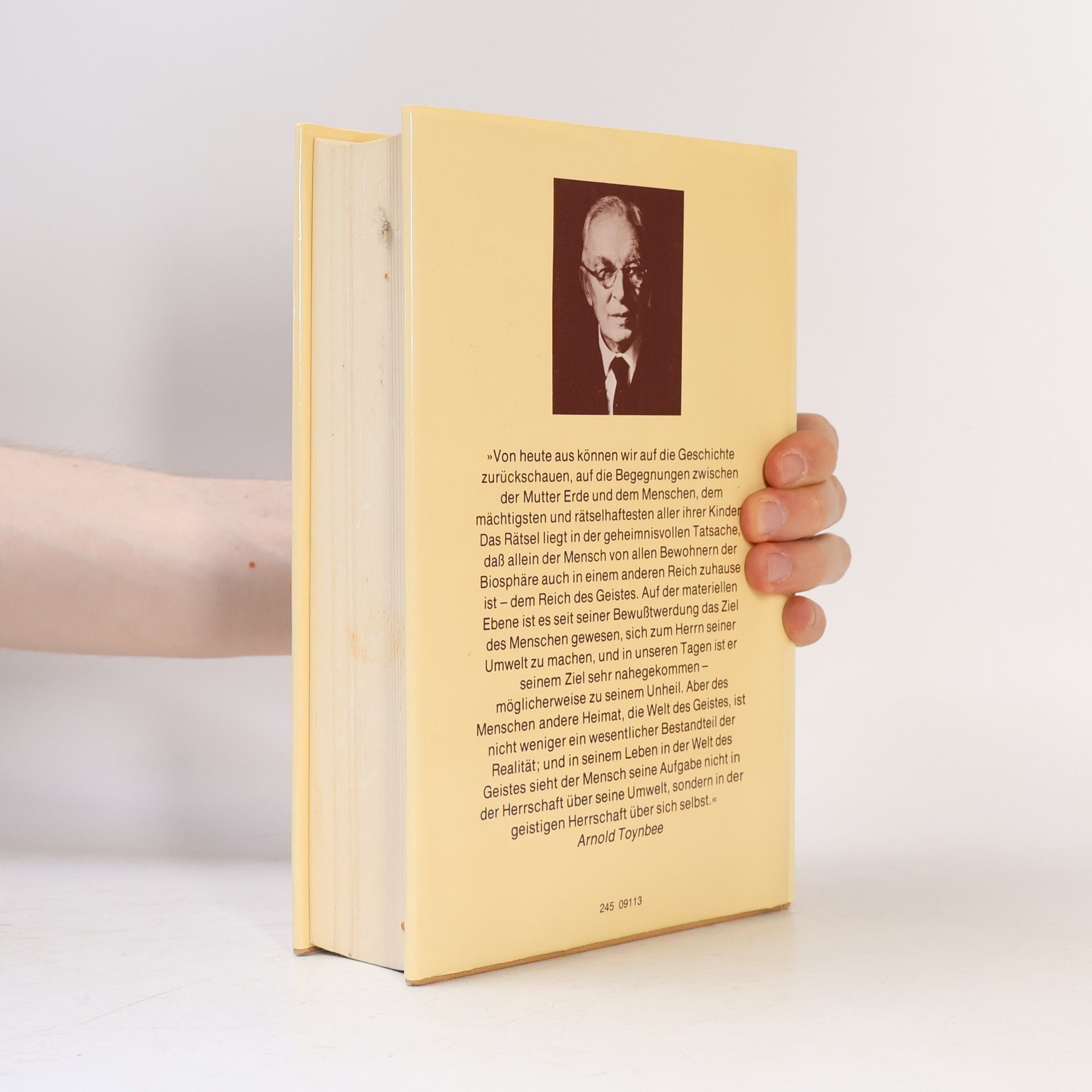 Arnold J. Toynbee Menschheit und Mutter Erde