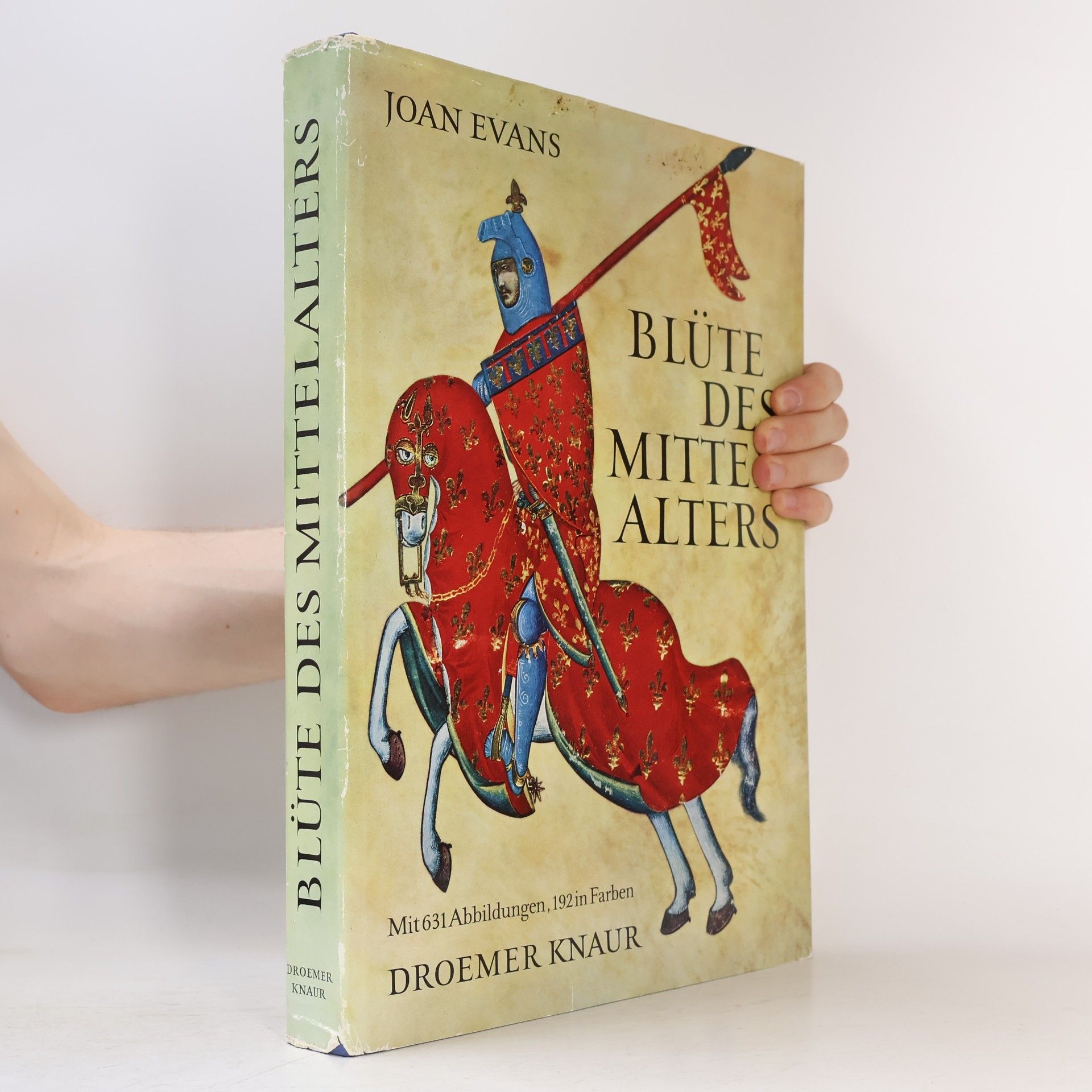 Joan Evans Blüte des Mittelalters