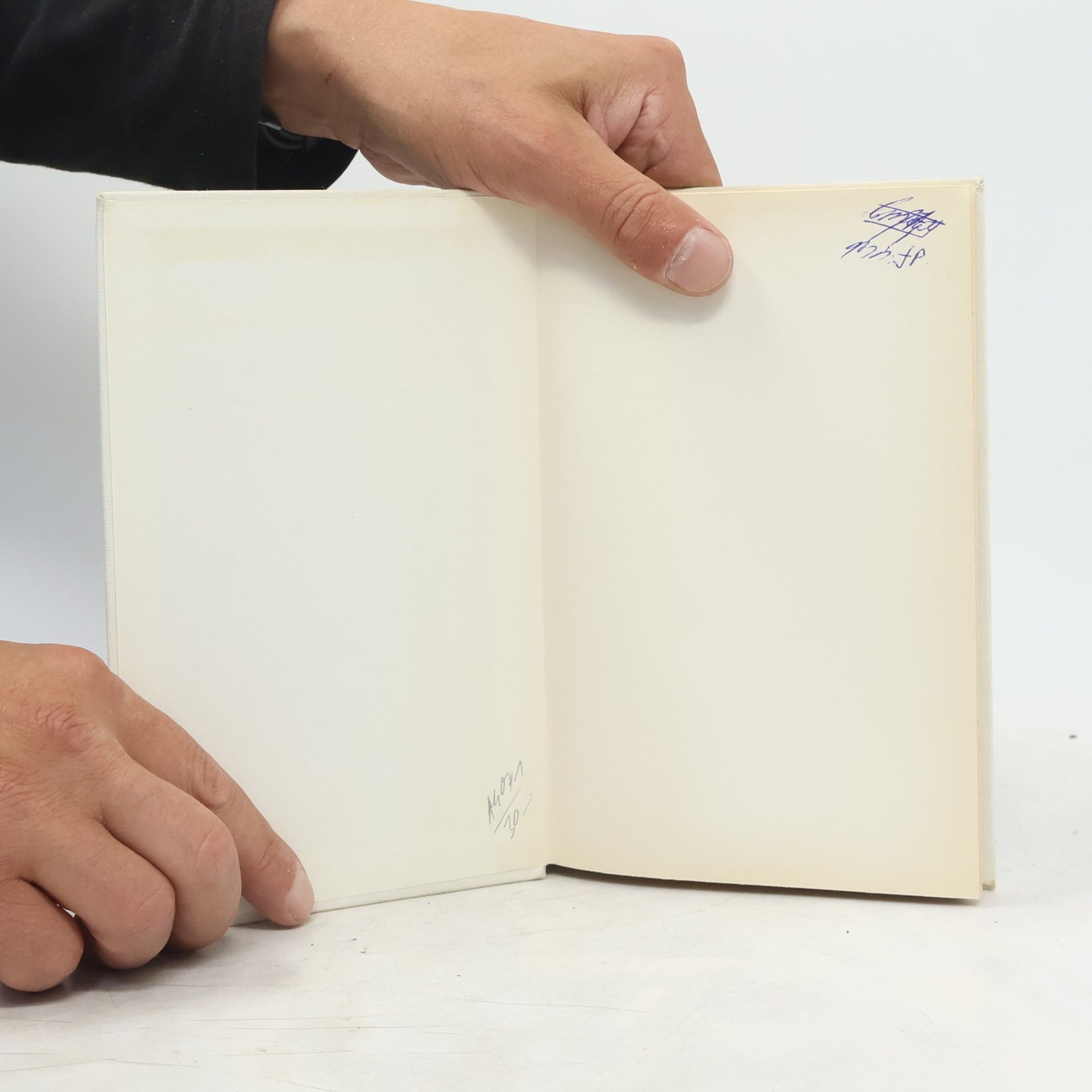 Rudolf Steindl Sociální filozofie frankfurtské školy: Kritické studie