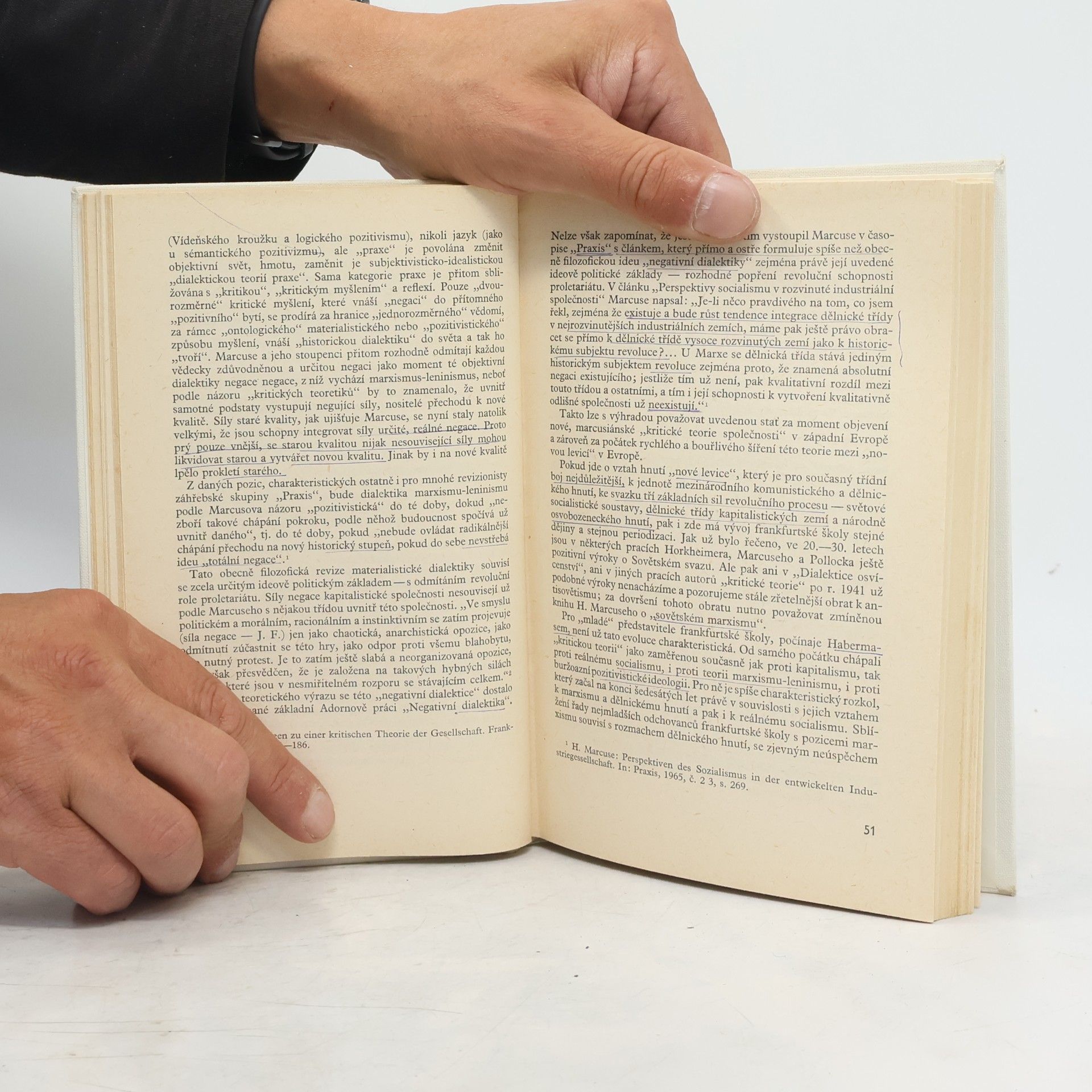 Rudolf Steindl Sociální filozofie frankfurtské školy: Kritické studie