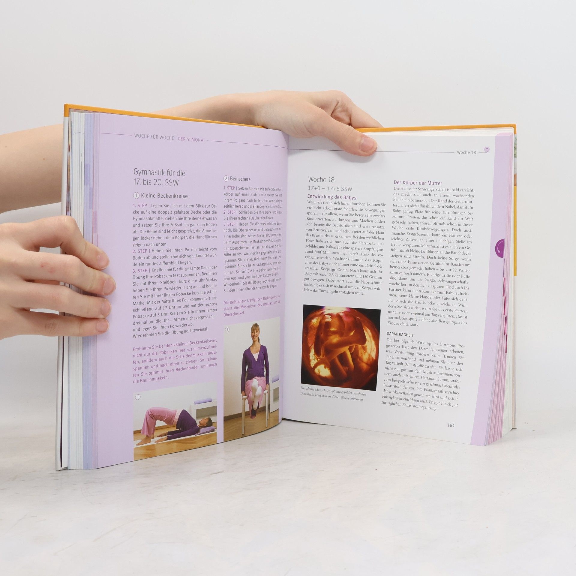 Annette Nolden Das große Buch zur Schwangerschaft