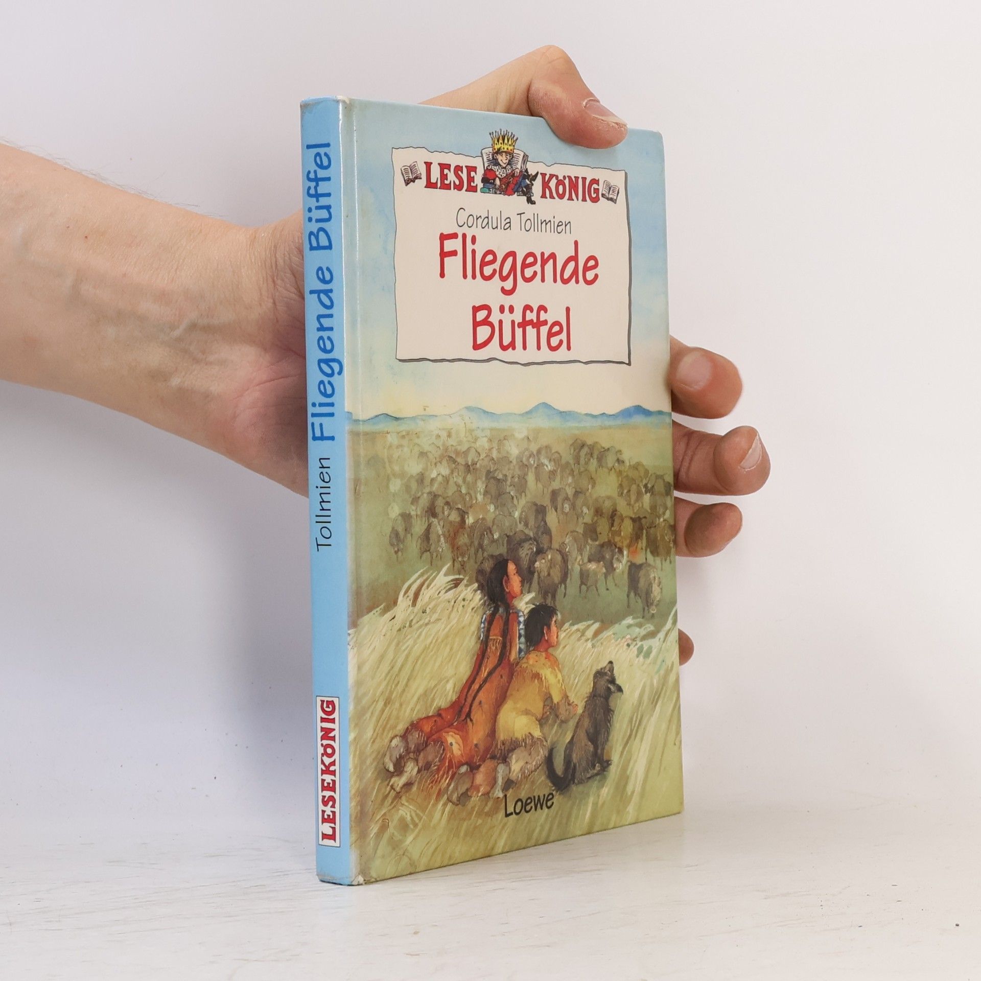 Cordula Tollmien Fliegende Büffel
