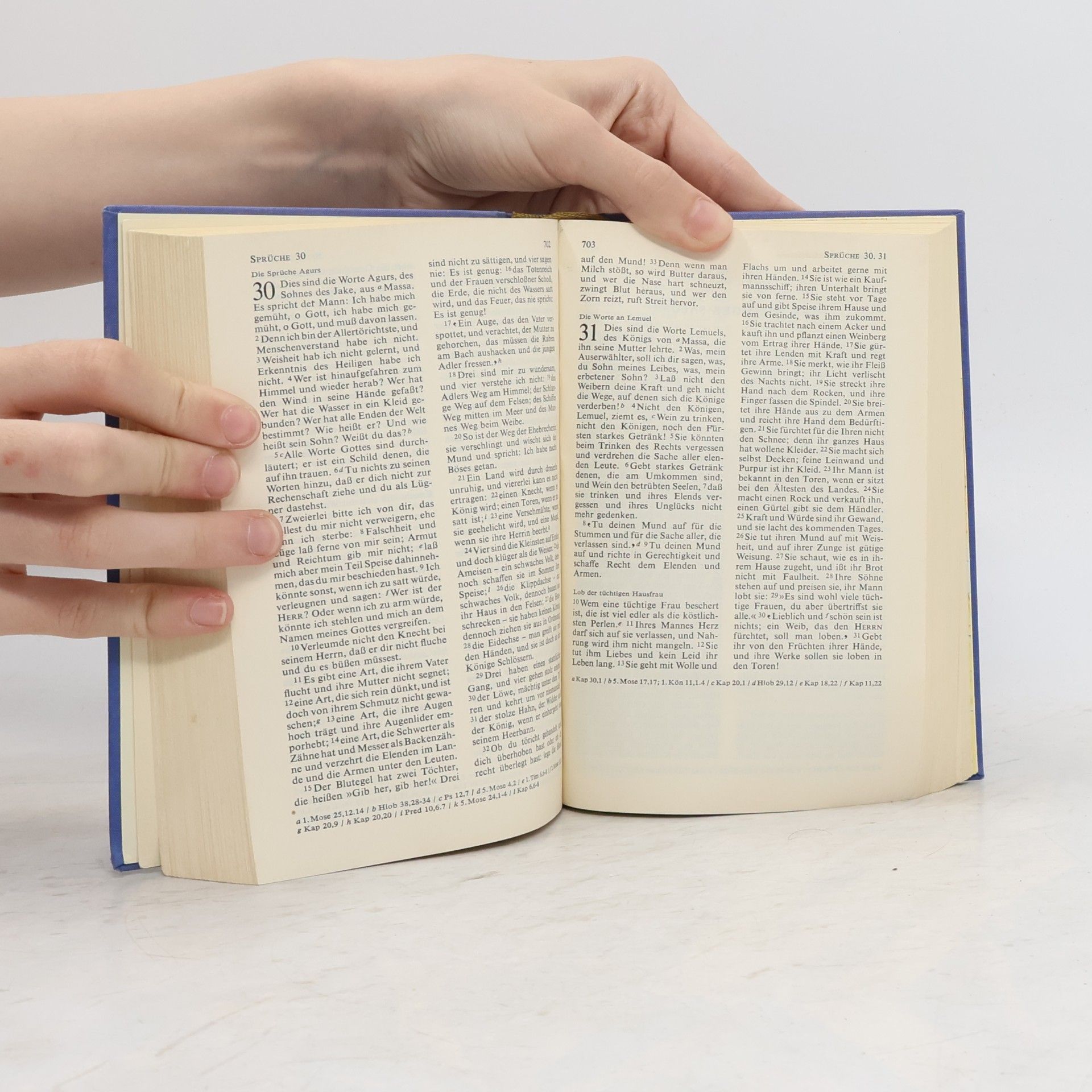 Martin Luther Die Bibel oder die ganze Heilige Schrift des Alten und Neuen Testaments