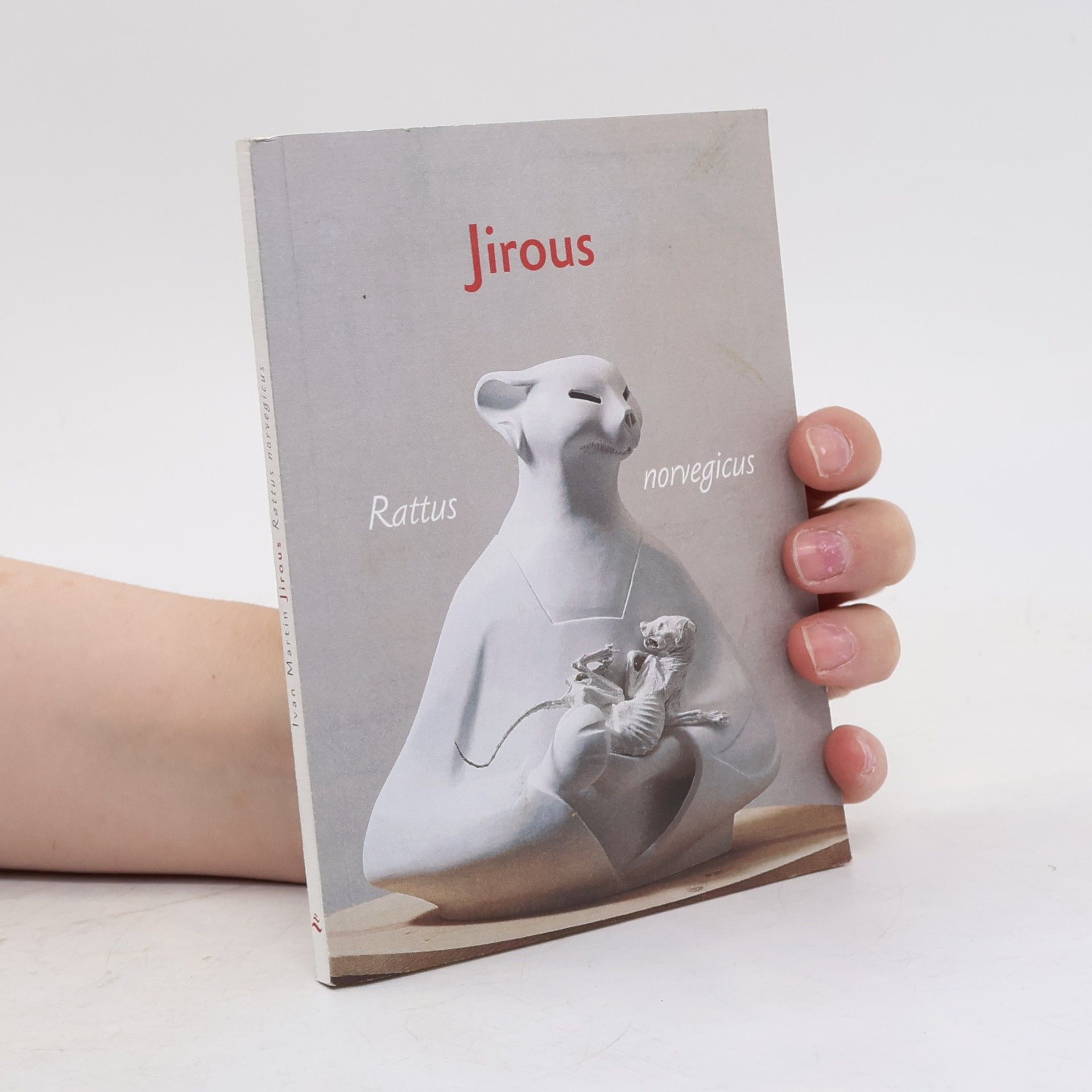 Rattus norvegicus