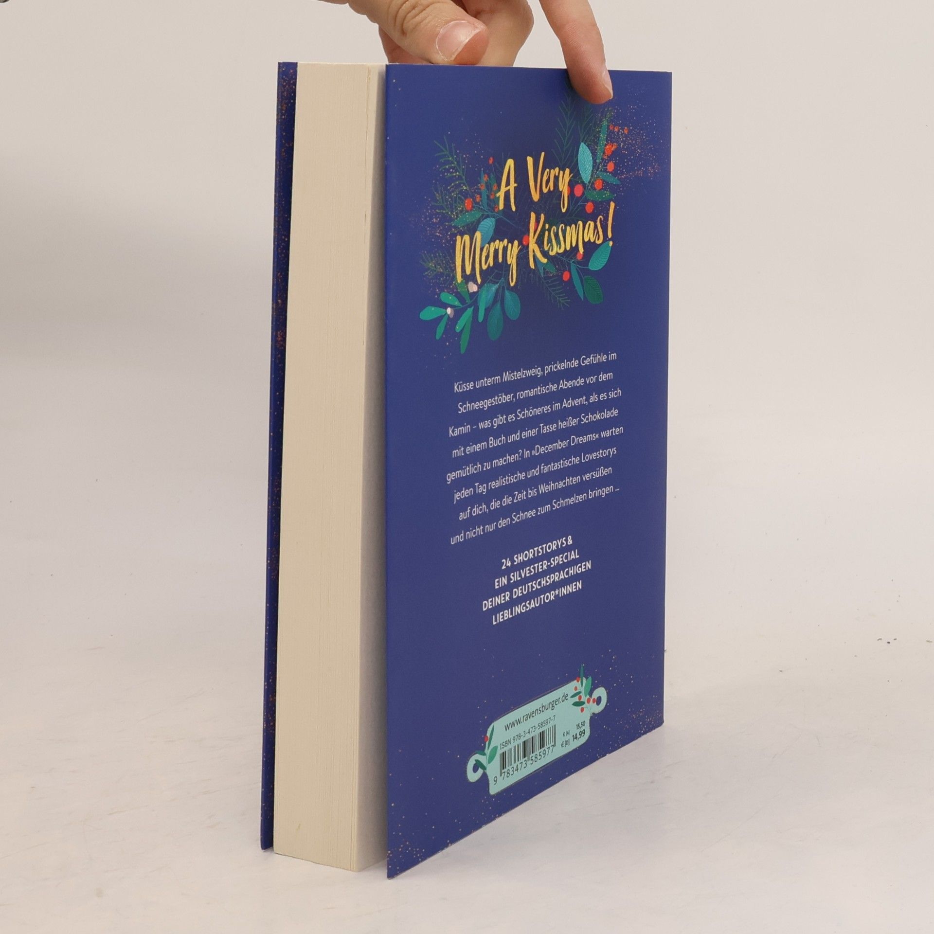 Bianca Iosivoni December Dreams. Ein Adventskalender, 24 Lovestorys