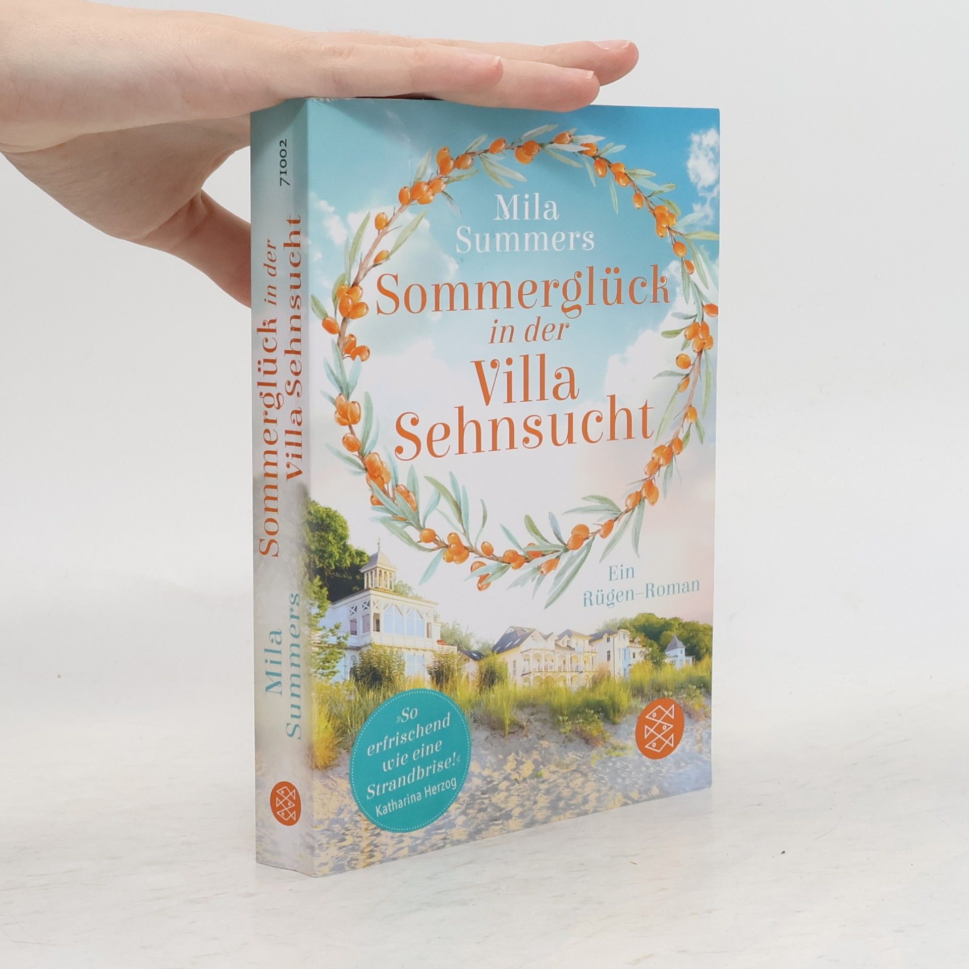 Mila Summers Sommerglück in der Villa Sehnsucht
