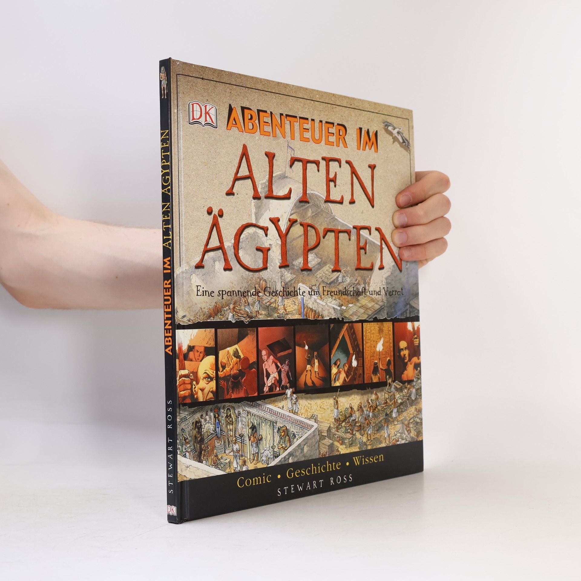 Stewart Ross Abenteuer im Alten Ägypten