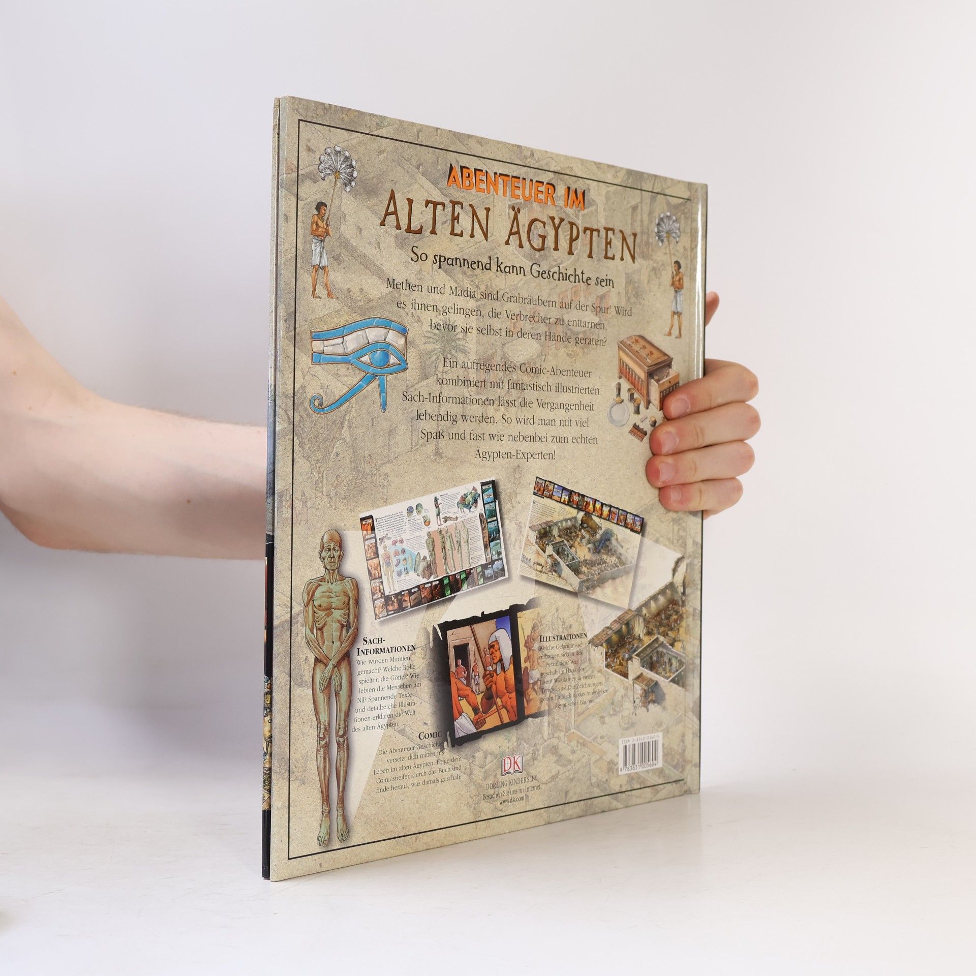 Stewart Ross Abenteuer im Alten Ägypten