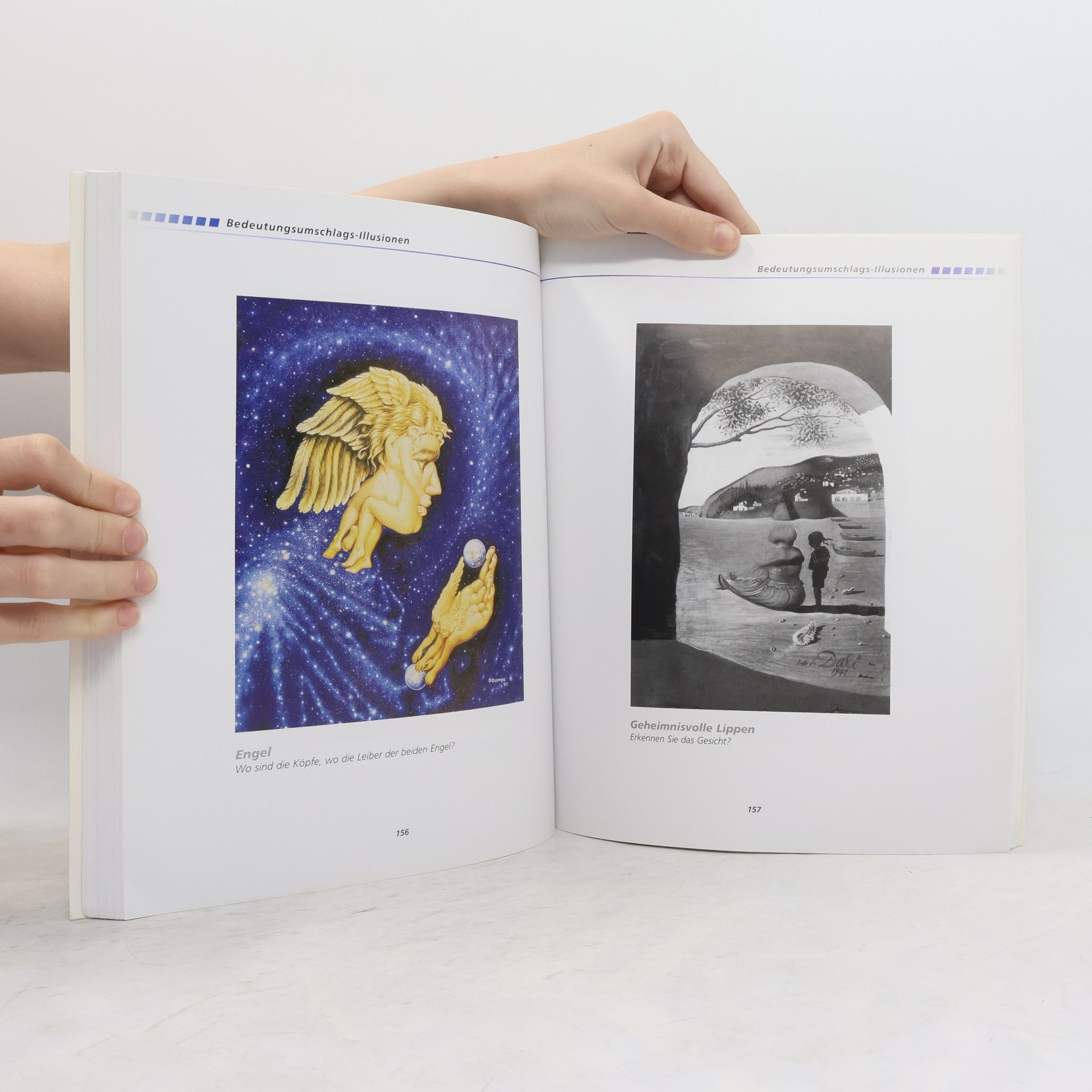 Al Seckel Optische Illusionen