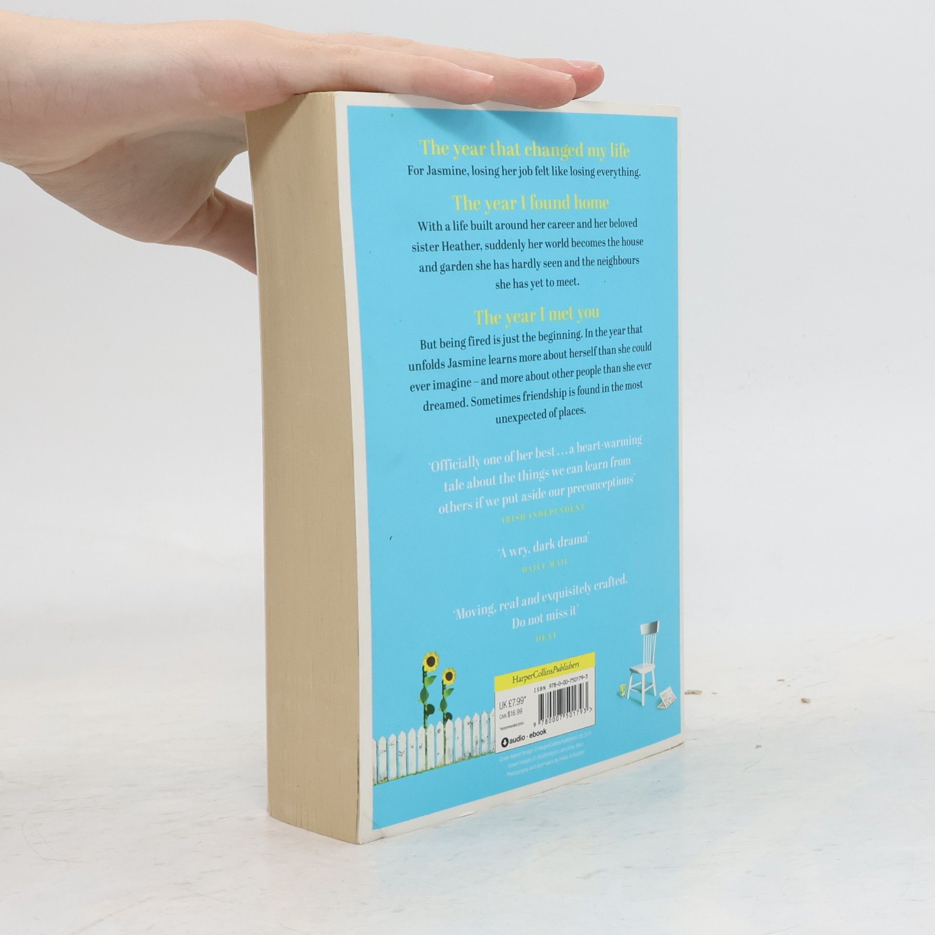 Cecelia Ahern The Year I Met You