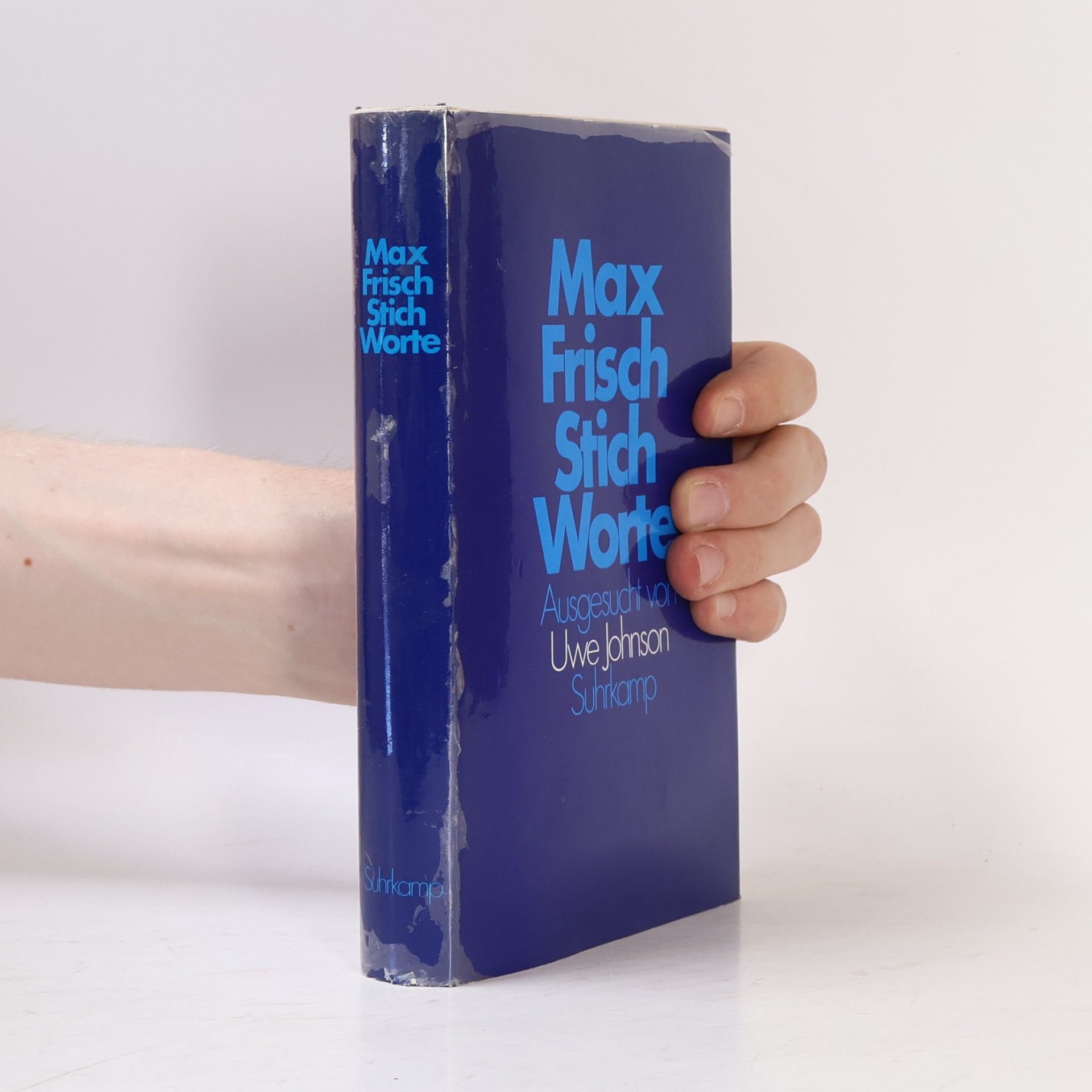 Max Frisch Stich-Worte