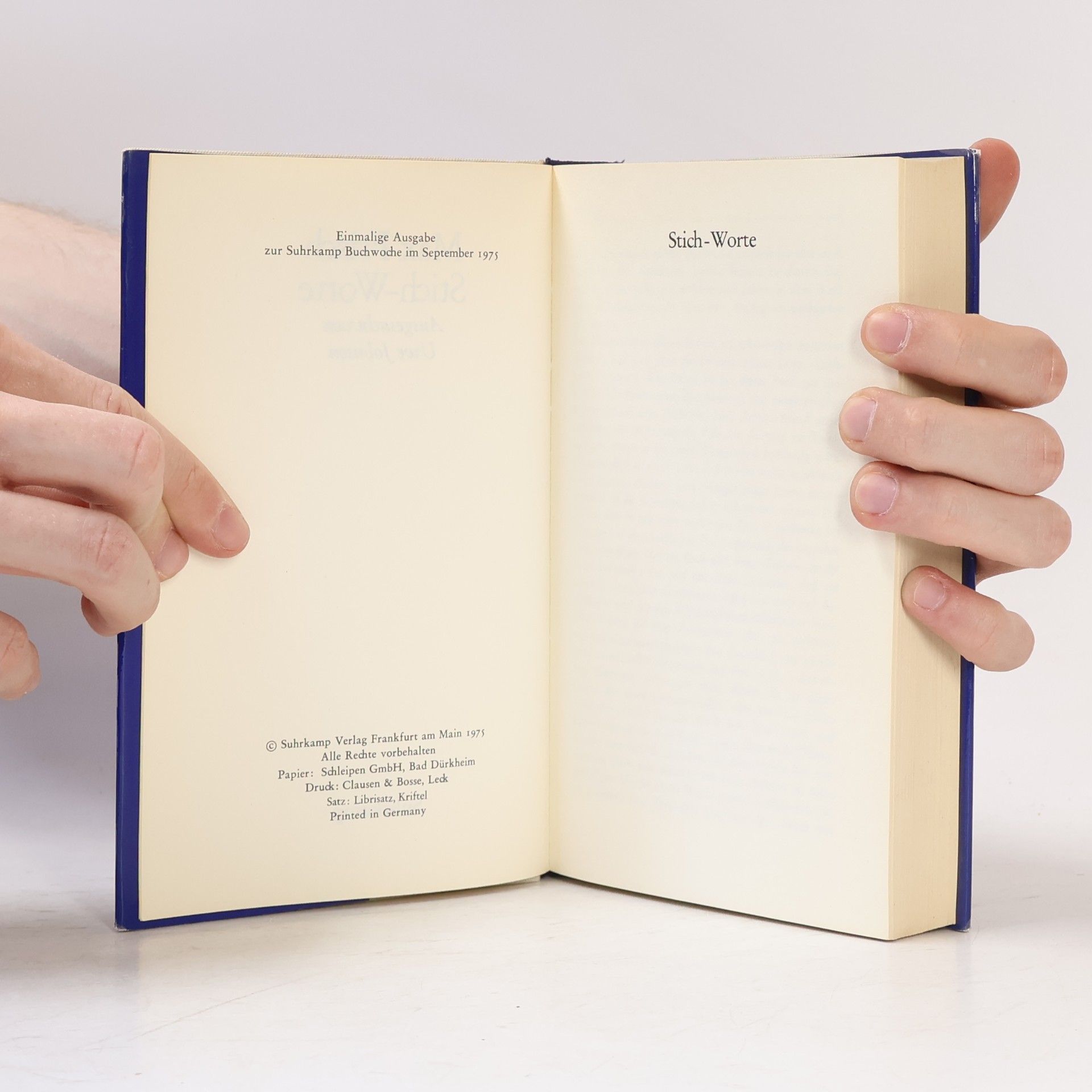 Max Frisch Stich-Worte