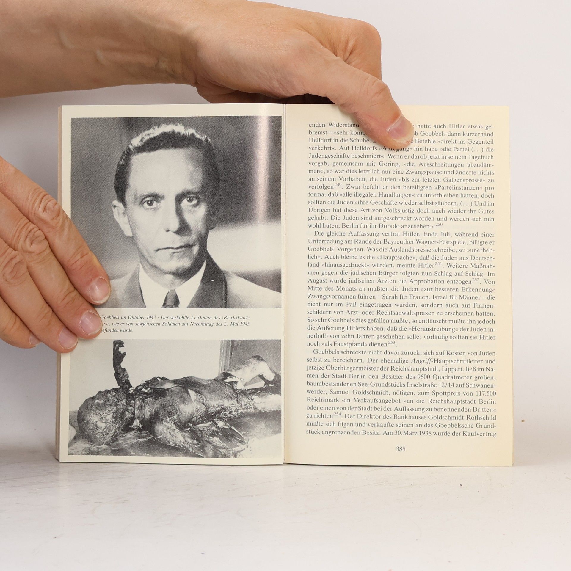 Ralf Georg Reuth Goebbels