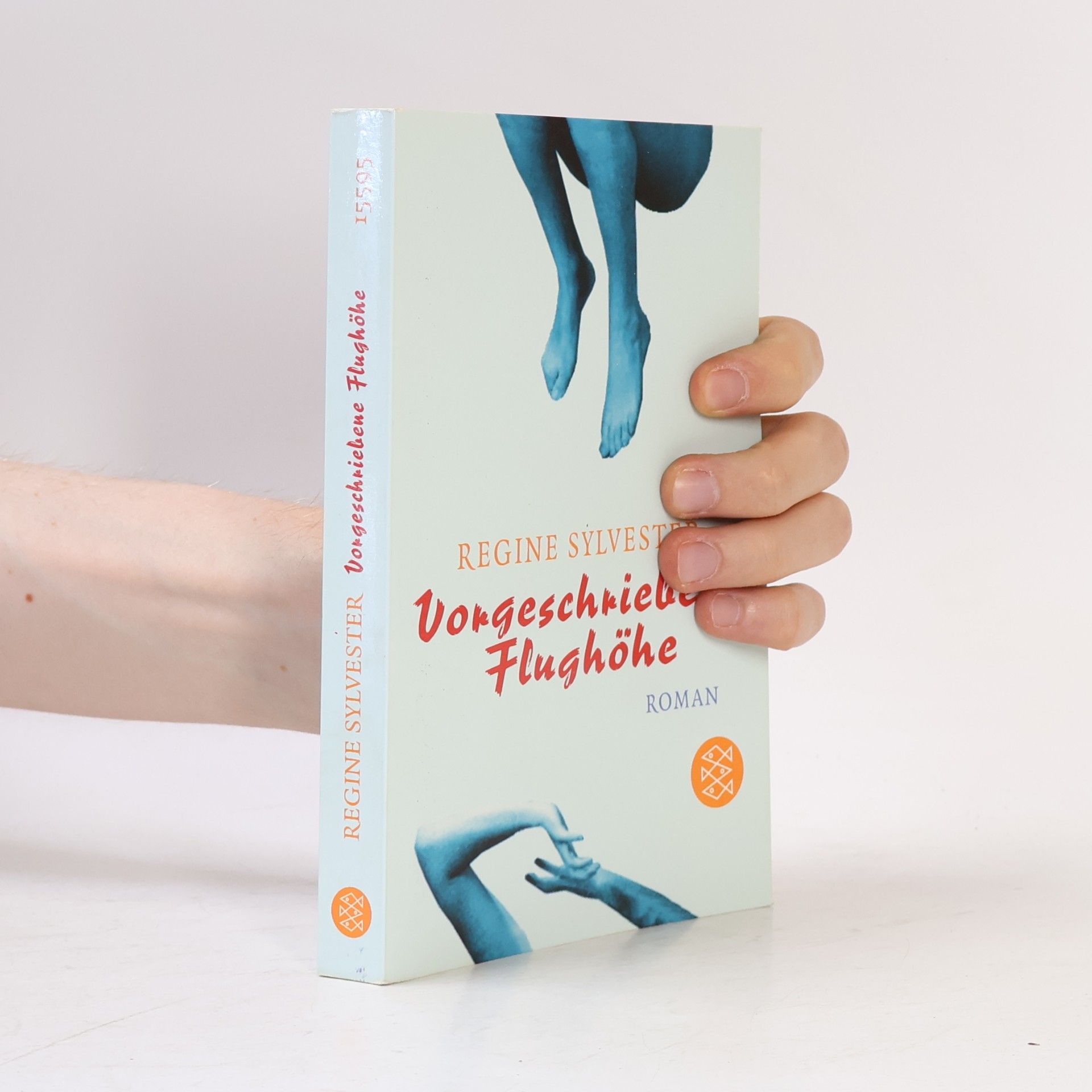 Regine Sylvester Vorgeschriebene Flughöhe