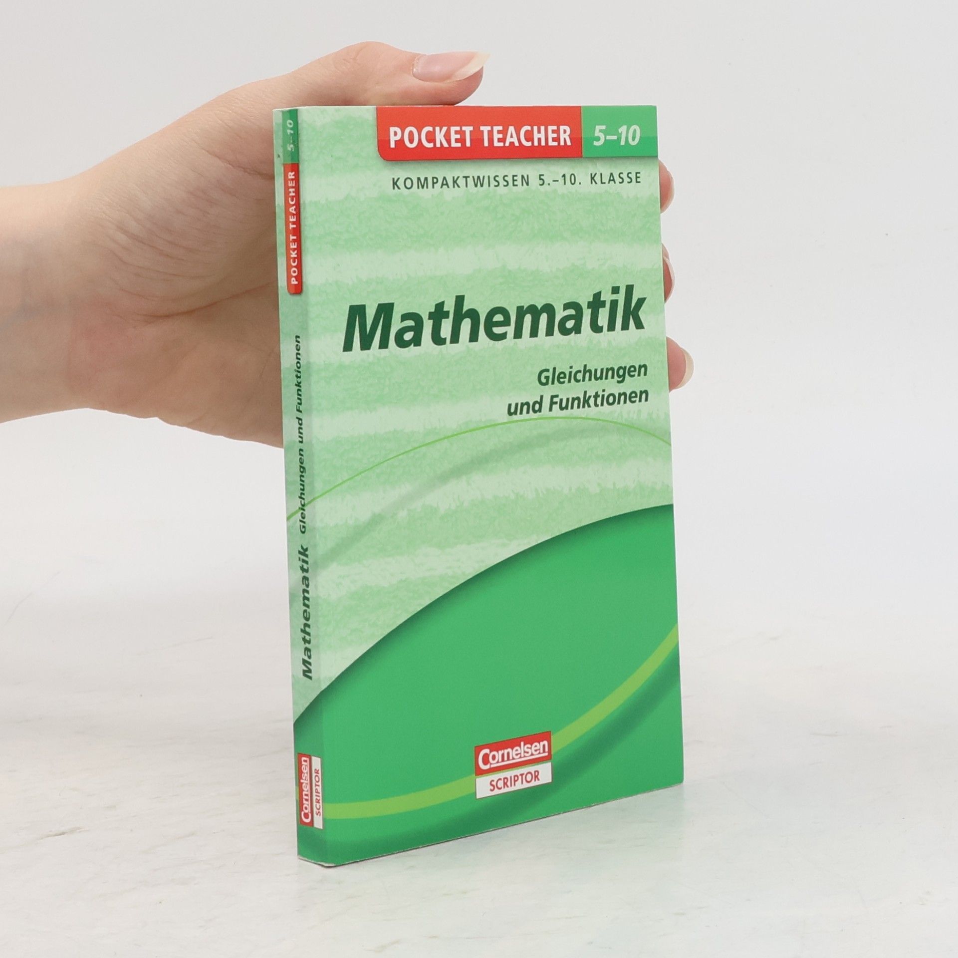 Siegfried Schneider Mathematik, Gleichungen und Funktionen
