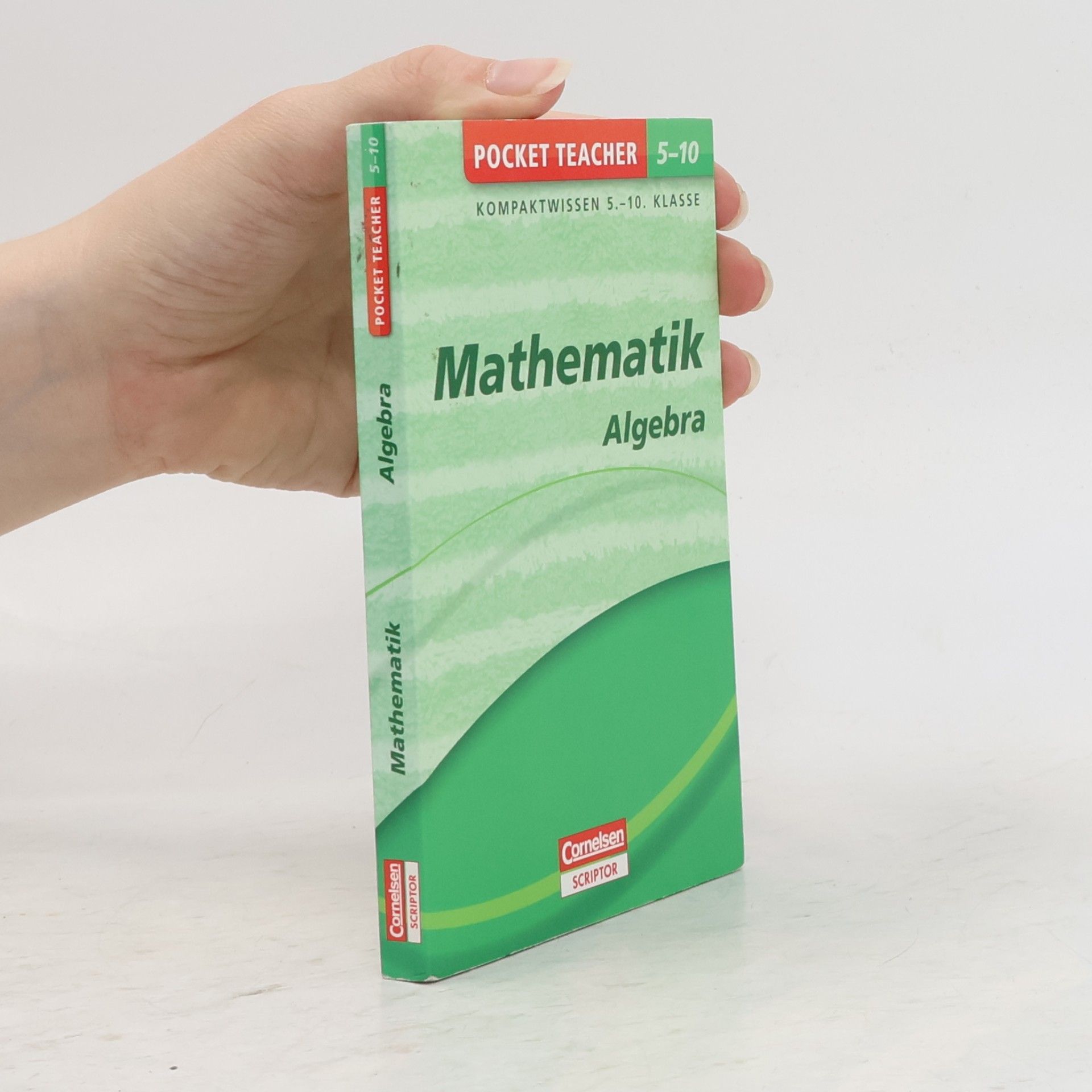 Roland Zerpies Pocket Teacher: Mathematik - Algebra: Kompaktwissen Klasse 5-10