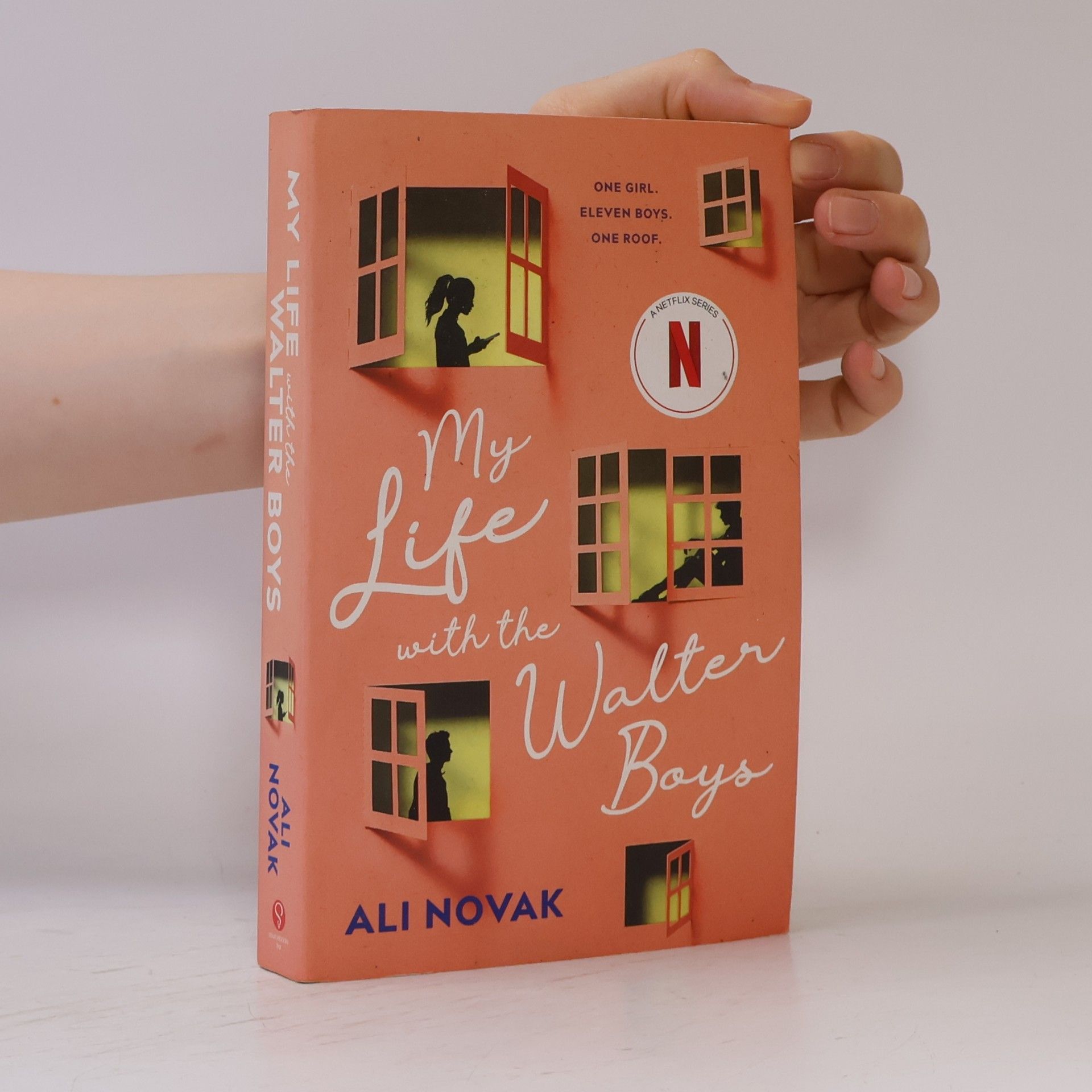 Ali Novak My Life with the Walter Boys