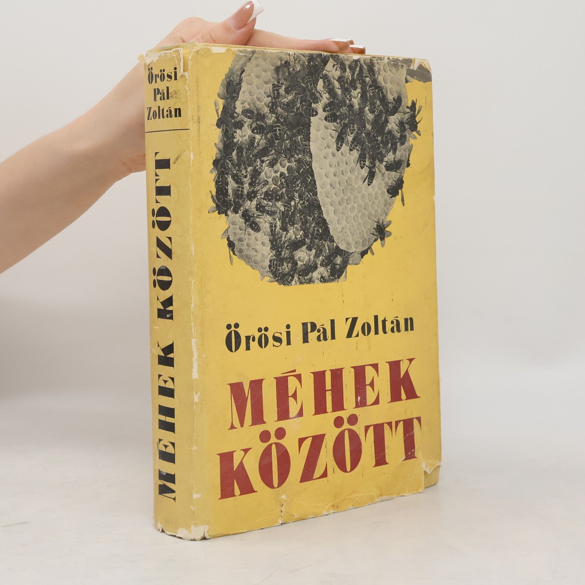 Pál Zoltán Örösi Méhek között