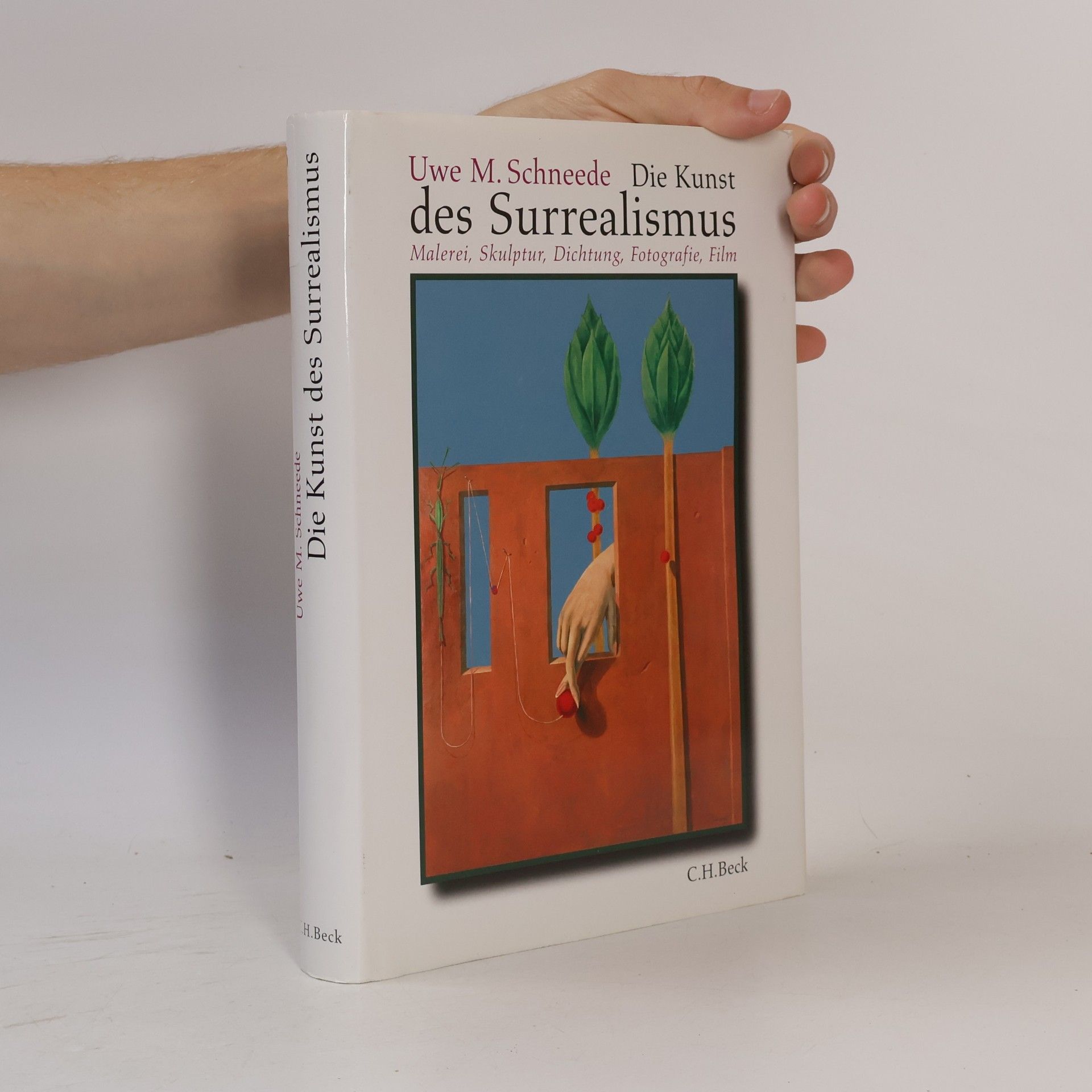Uwe M. Schneede Die Kunst des Surrealismus