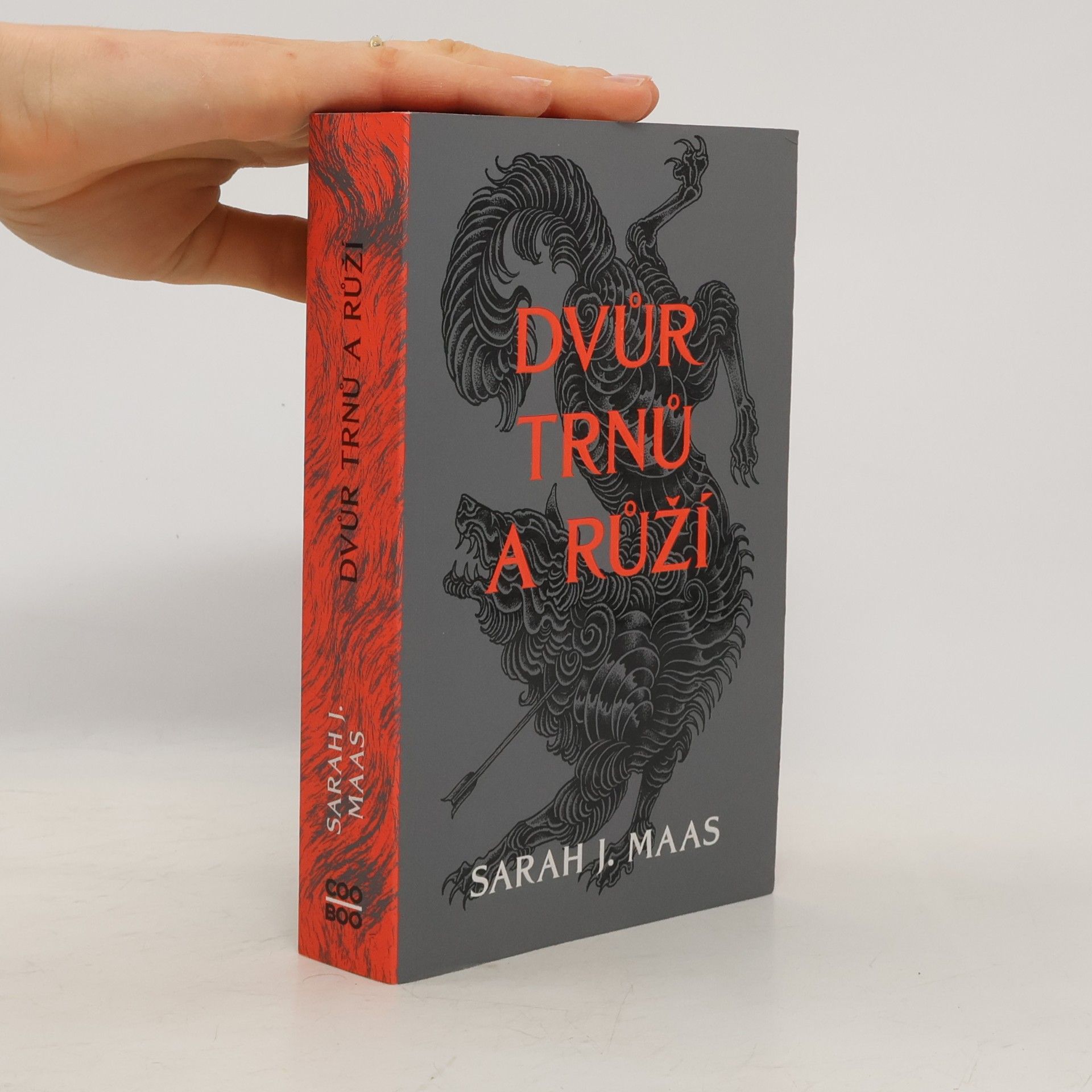 Sarah J. Maas Dvůr trnů a růží