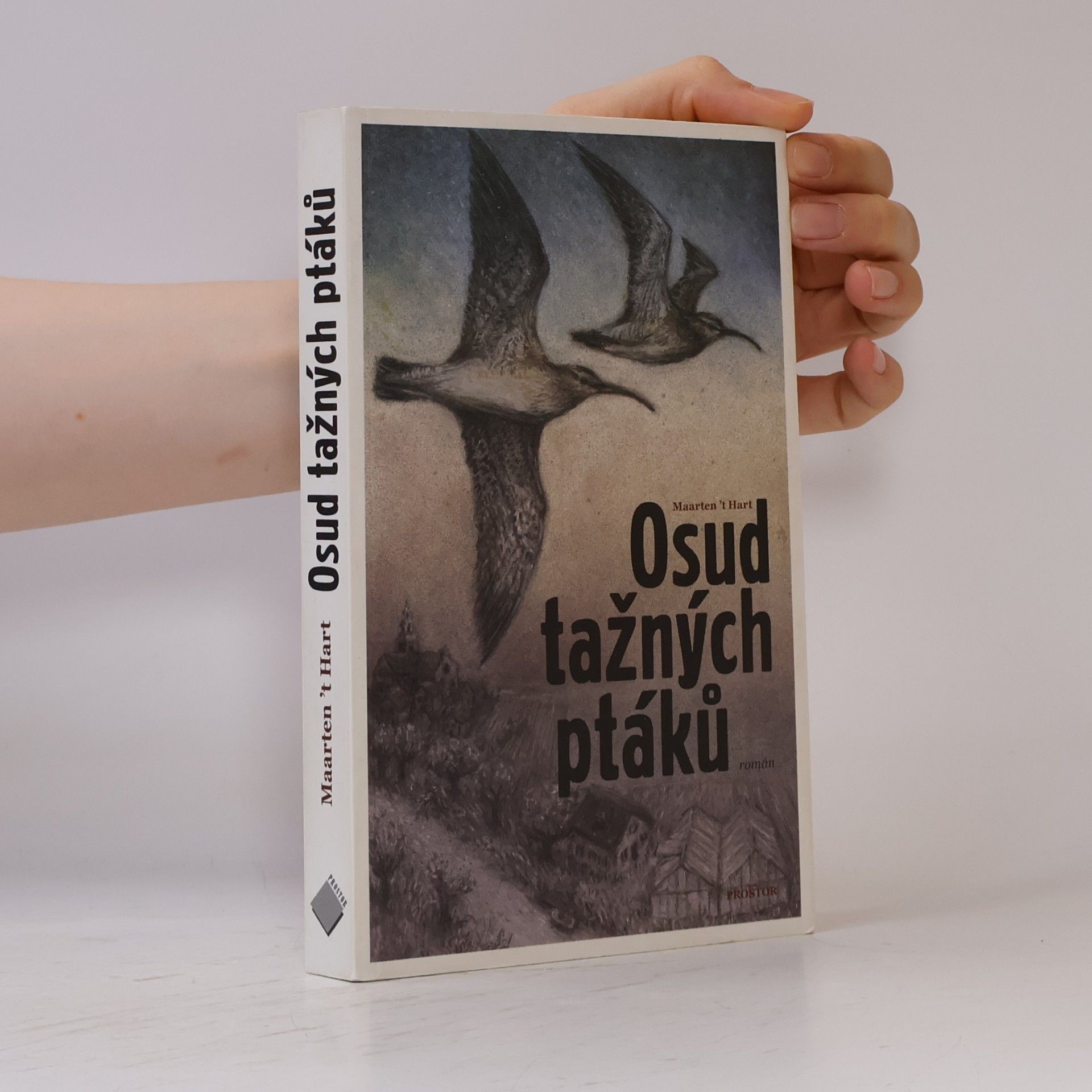 Maarten t. Hart Osud tažných ptáků